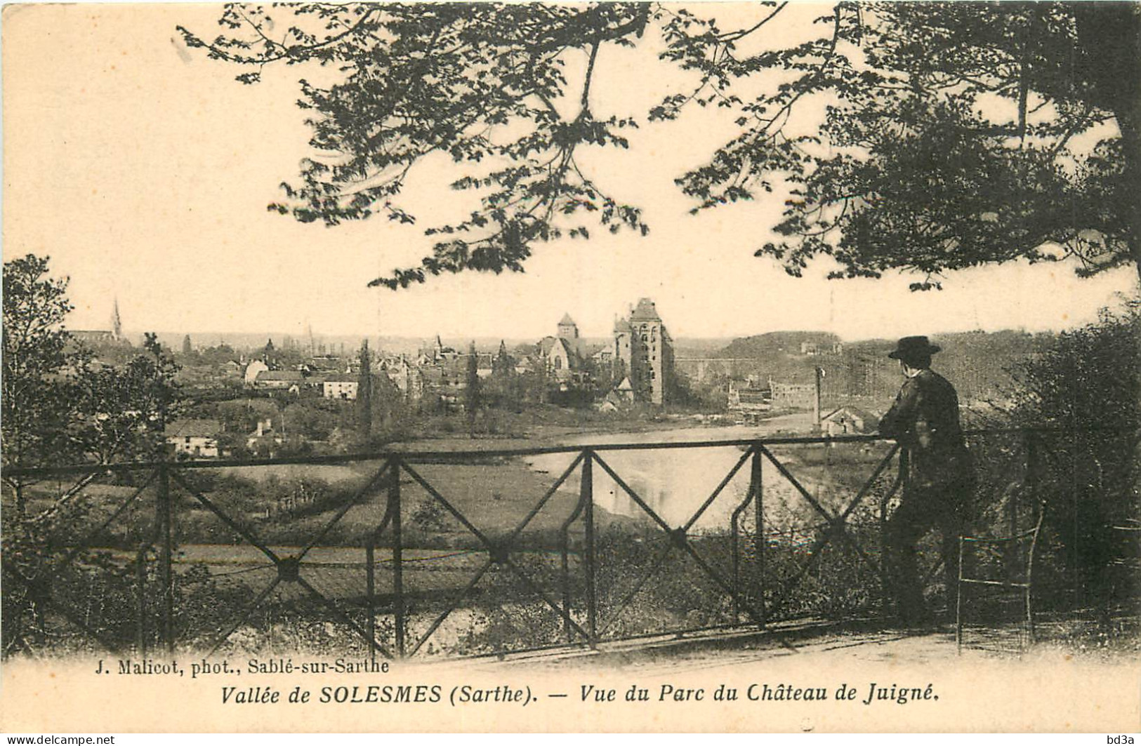 72 - VALLEE DE SOLESMES - VUE DU PARC DU CHATEAU DE JUIGNE - Solesmes