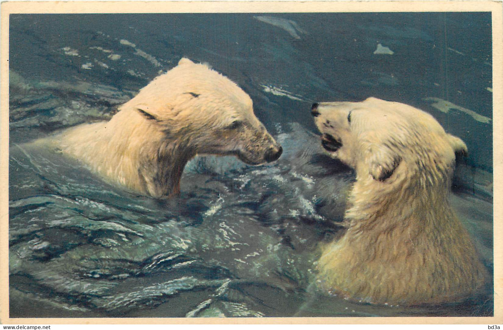 CPA - OURS BLANC - PARC ZOOLOGIQUE DU BOIS DE VINCENNES - PARIS - Bears