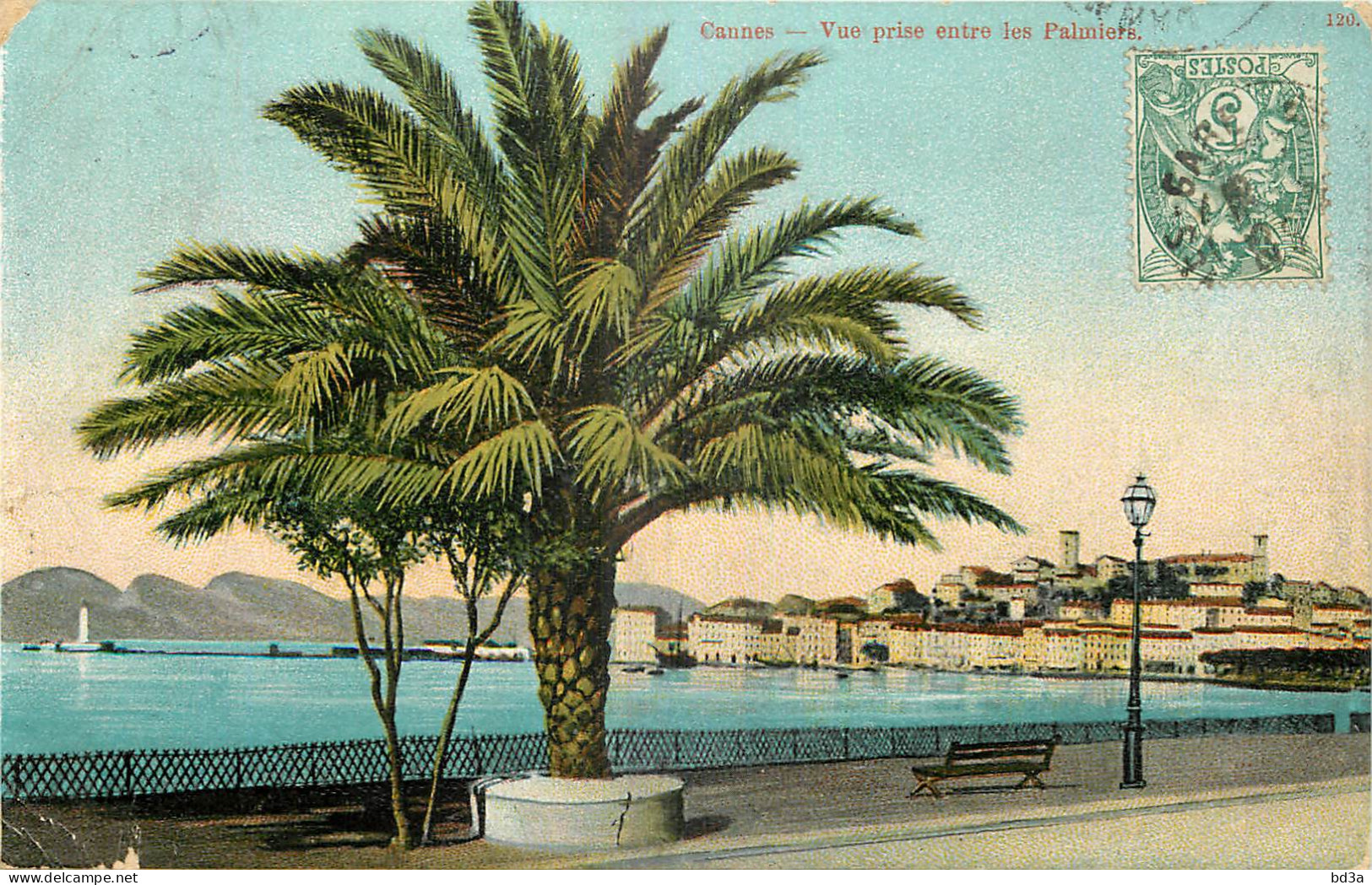 06 - CANNES -  VUE PRISE ENTRE LES PALMIERS - Cannes