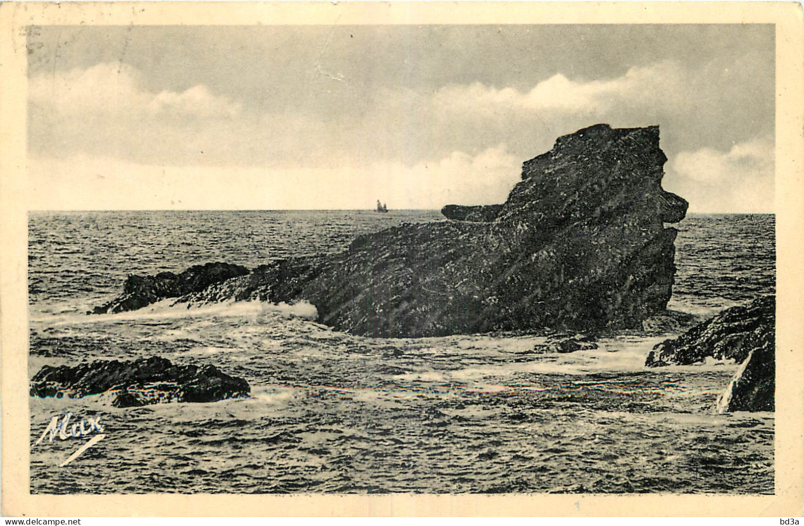 56 - BELLE ILE EN MER - LE CHIEN A LA POINTE AUX POULAINS - Belle Ile En Mer