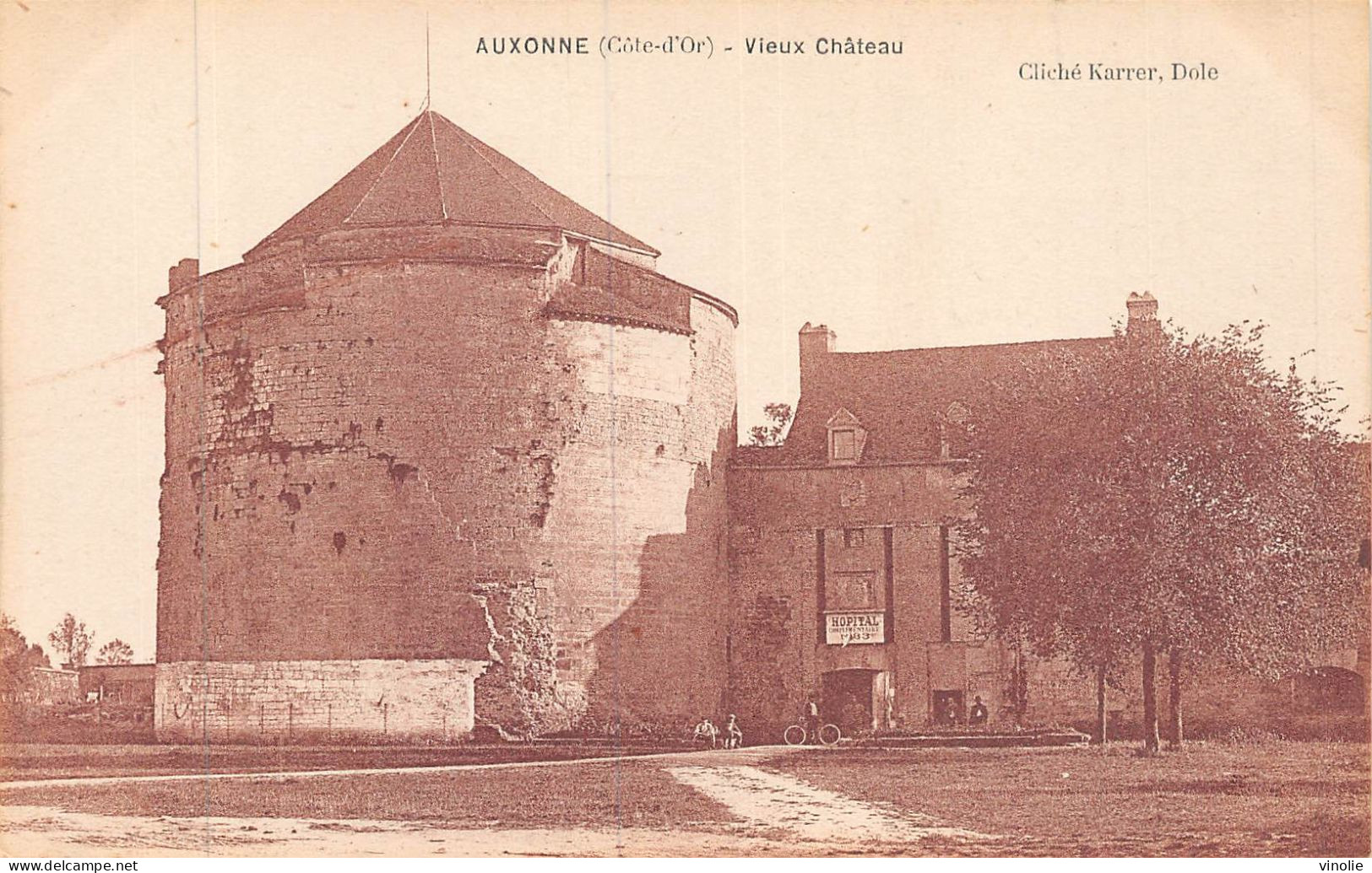 P-24-Mi-Is-894 : AUXONNE. VIEUX CHATEAU - Auxonne