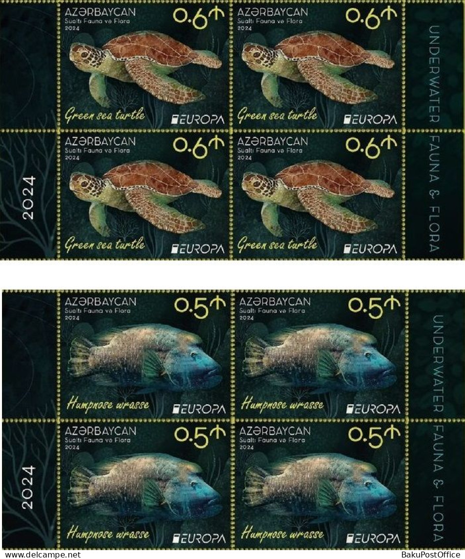 Azerbaijan 2024 CEPT EUROPA EUROPE Underwater Fauna & Flora 4 X 4 Stamps From Sheets - 2024