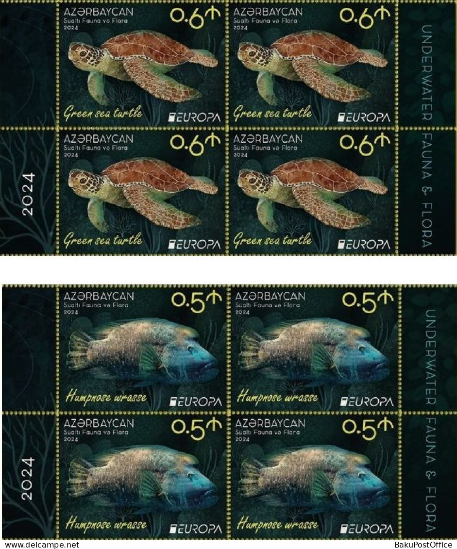 Azerbaijan 2024 CEPT EUROPA EUROPE Underwater Fauna & Flora 4 X 4 Stamps From Sheets - Azerbaïjan