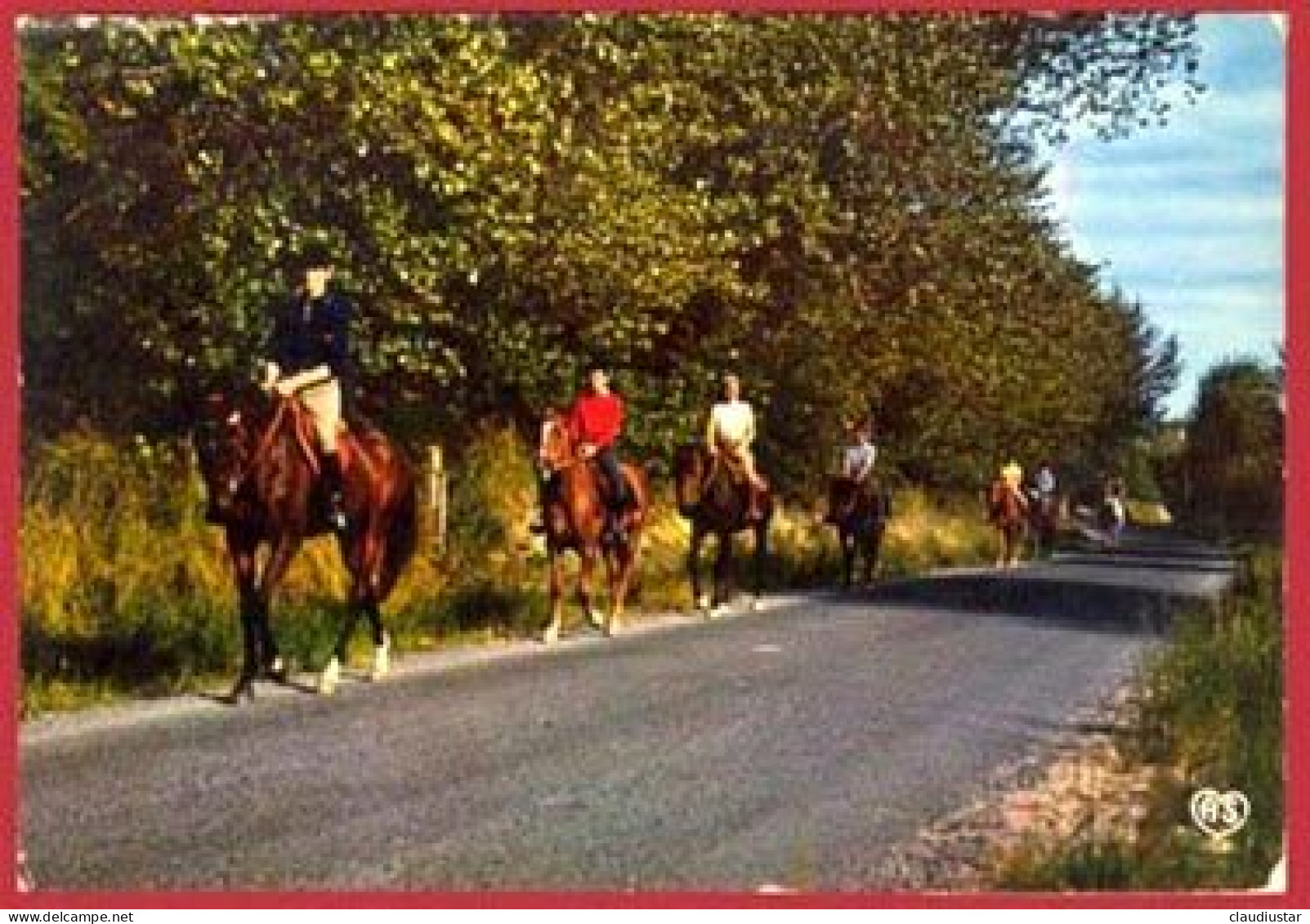 ** LOT  3  CARTES  CAMARGUE ** - Caballos