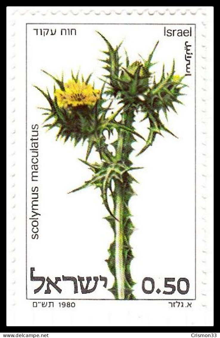 1980 - ISRAEL - FLORA - FLORES DEL CARDO - SCOLYMUS MACULATUS - YVERT 757 - Altri & Non Classificati