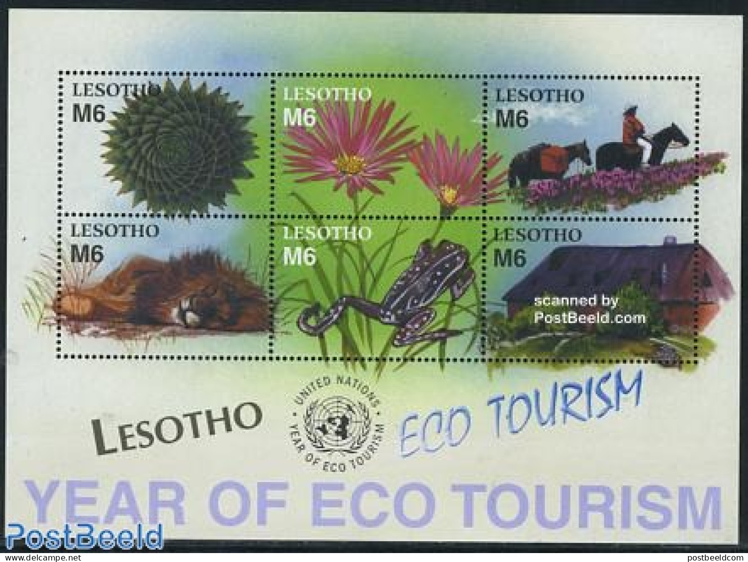 Lesotho 2002 Eco Tourism 6v M/s, Mint NH, Nature - Various - Animals (others & Mixed) - Cat Family - Frogs & Toads - H.. - Lesotho (1966-...)