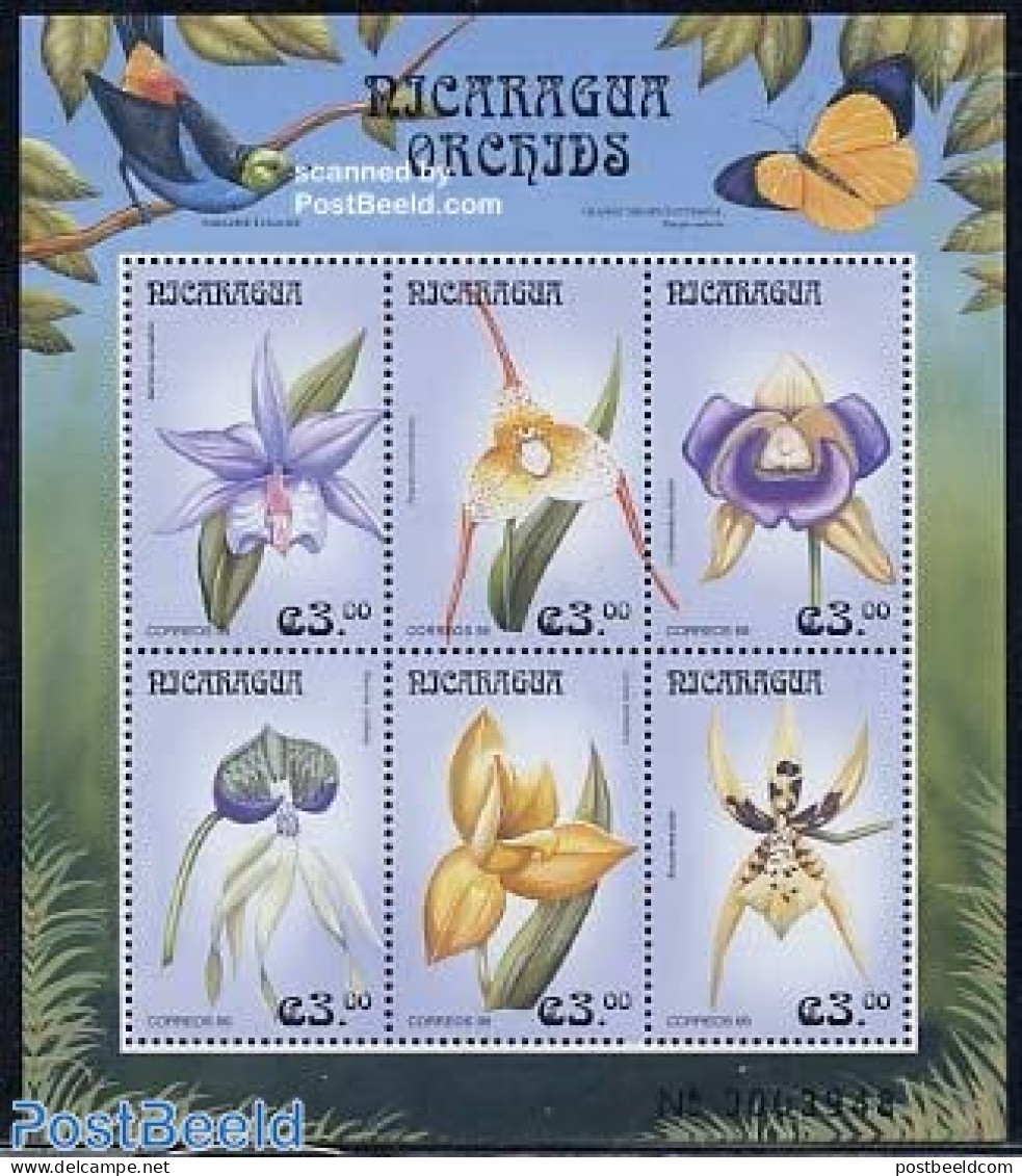Nicaragua 1999 Orchids 6v M/s, Barkeria Spektabilis, Mint NH, Nature - Flowers & Plants - Orchids - Nicaragua
