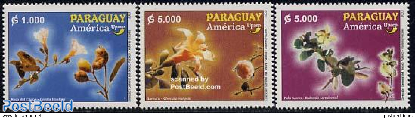 Paraguay 2003 UPAEP, Flowers 3v, Mint NH, Nature - Flowers & Plants - U.P.A.E. - Paraguay
