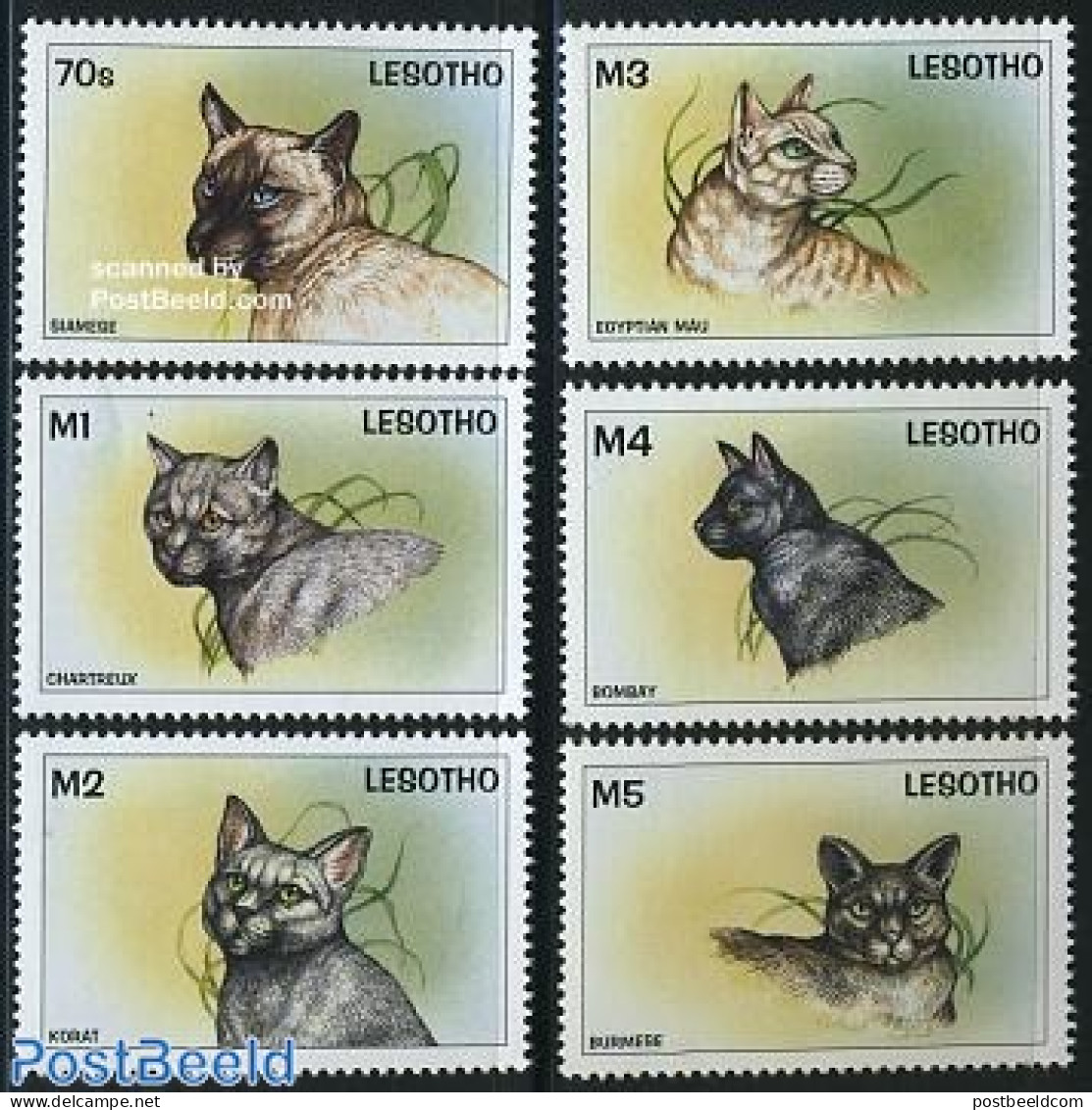 Lesotho 1998 Cats 6v, Mint NH, Nature - Cats - Lesotho (1966-...)