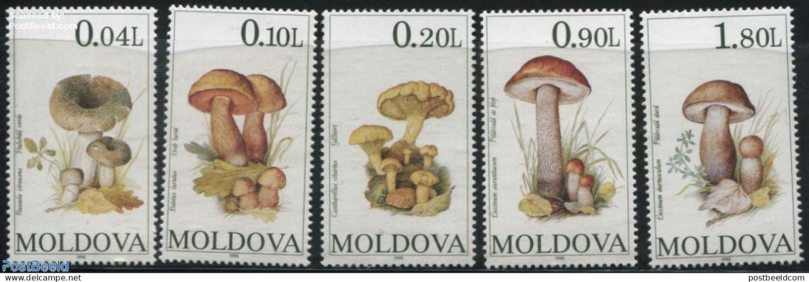 Moldova 1995 Mushrooms 5v, Mint NH, Nature - Mushrooms - Champignons