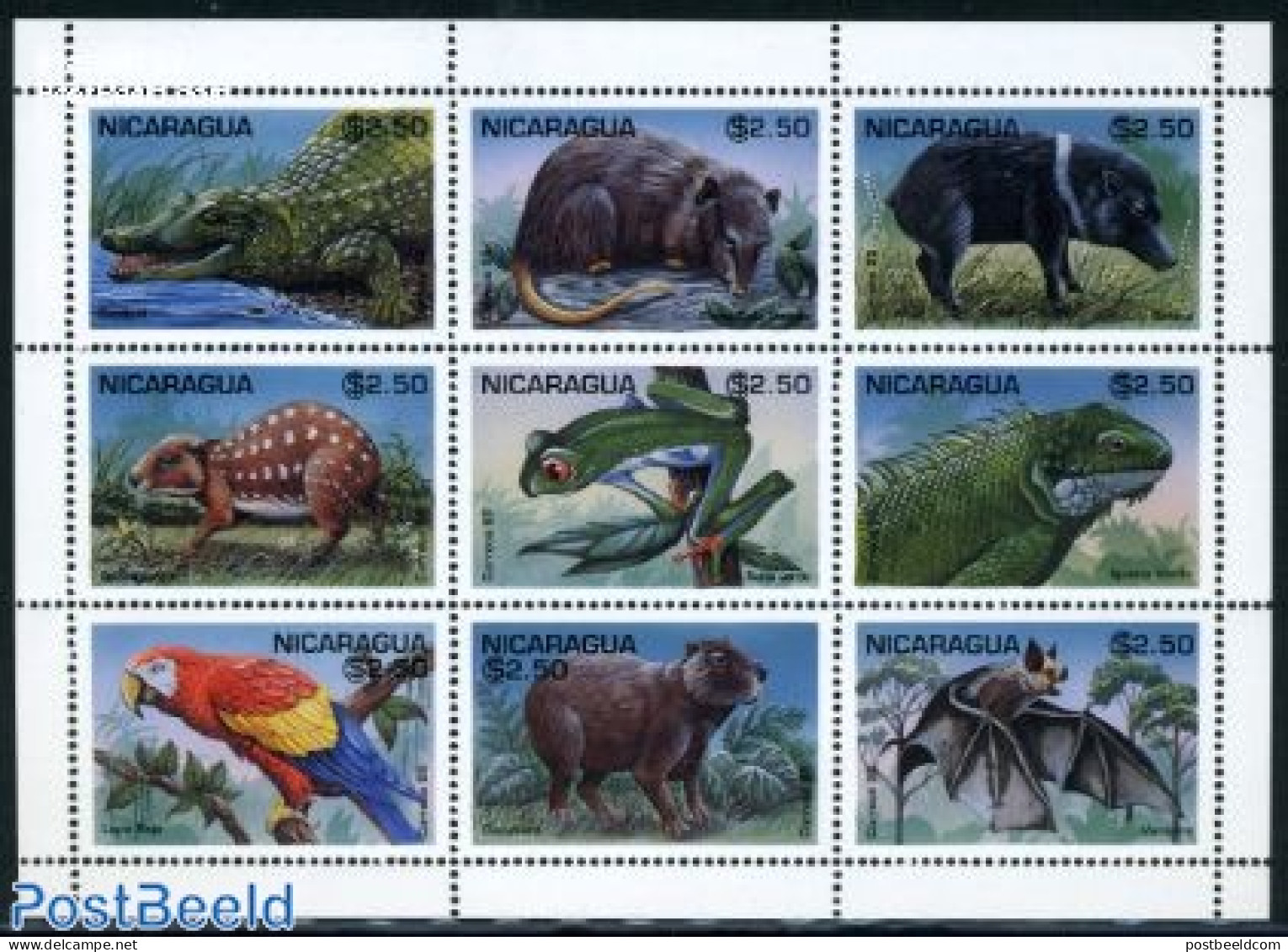 Nicaragua 1995 Animals 9v M/s, Mint NH, Nature - Animals (others & Mixed) - Bats - Crocodiles - Frogs & Toads - Parrot.. - Nicaragua