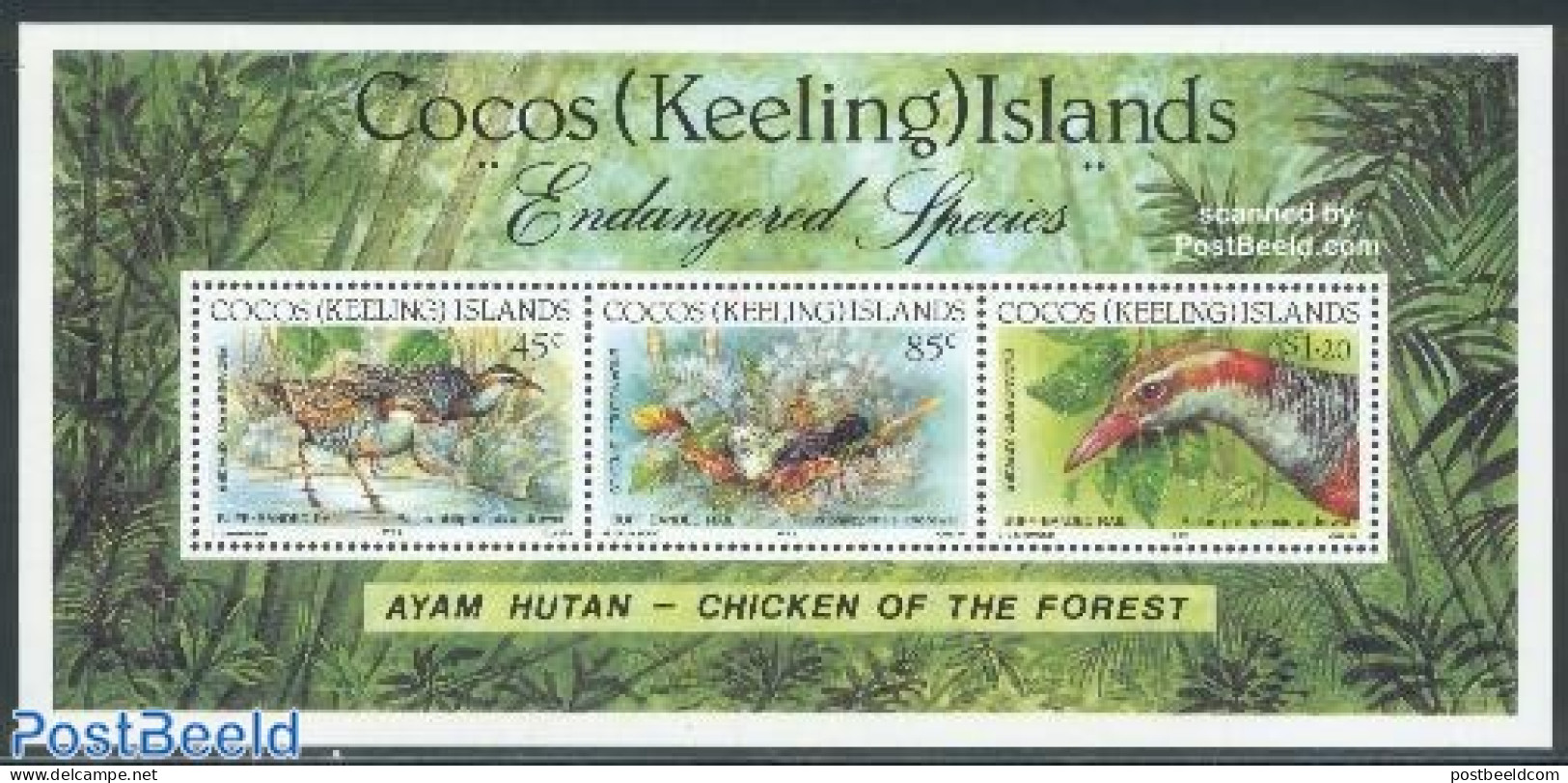 Cocos Islands 1992 Birds S/s, Mint NH, Nature - Birds - World Wildlife Fund (WWF) - Kokosinseln (Keeling Islands)