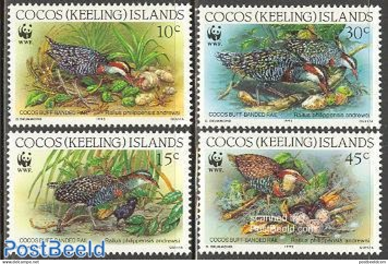 Cocos Islands 1992 WWF, Birds 4v, Mint NH, Nature - Birds - World Wildlife Fund (WWF) - Cocos (Keeling) Islands