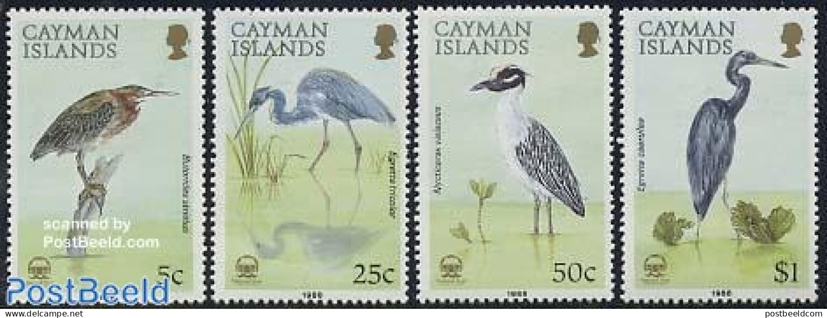 Cayman Islands 1988 Birds 4v, Mint NH, Nature - Birds - Iles Caïmans