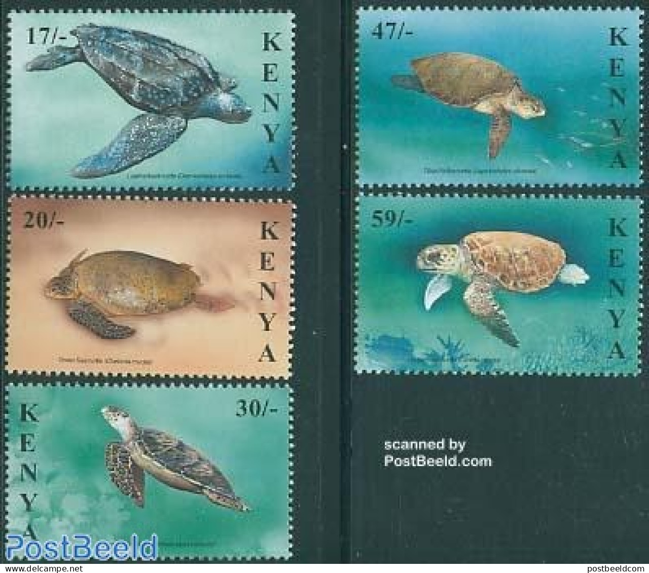 Kenia 2000 Turtles 5v, Mint NH, Nature - Reptiles - Turtles - Altri & Non Classificati