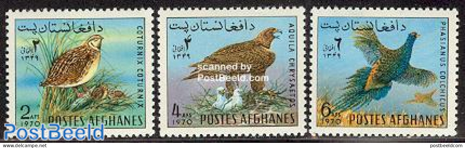 Afghanistan 1970 Birds 3v, Mint NH, Nature - Birds - Birds Of Prey - Afghanistan