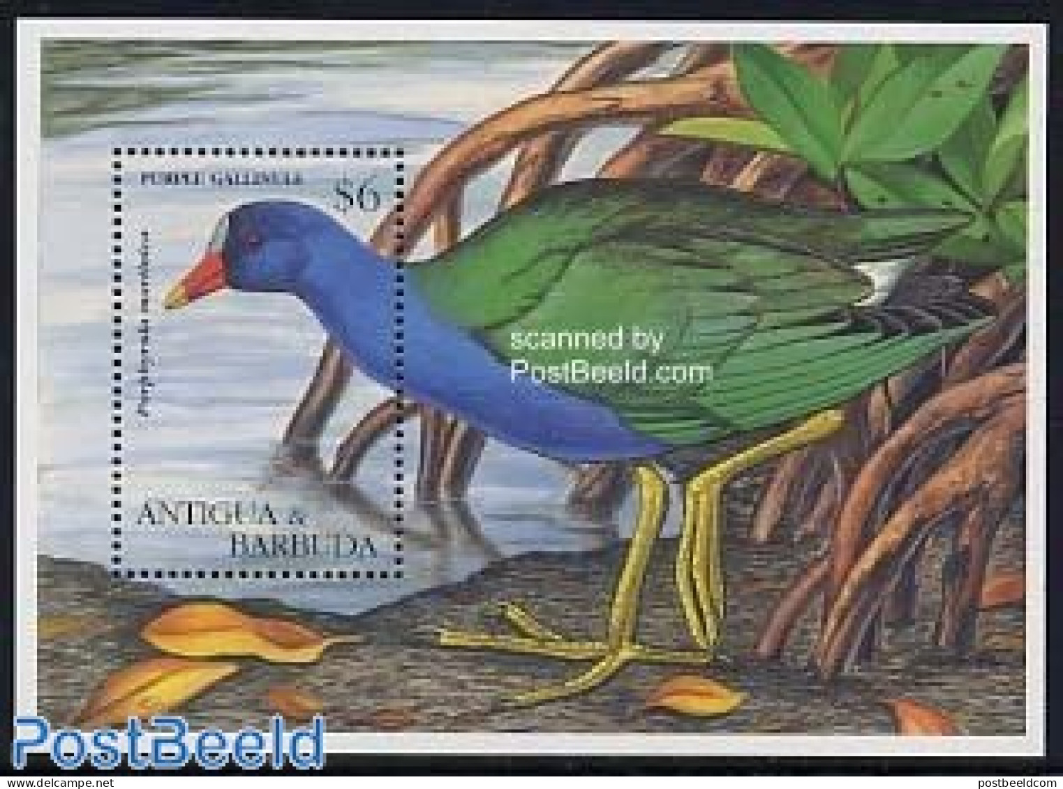 Antigua & Barbuda 1995 Birds S/s, Purple Gallinule, Mint NH, Nature - Birds - Antigua And Barbuda (1981-...)