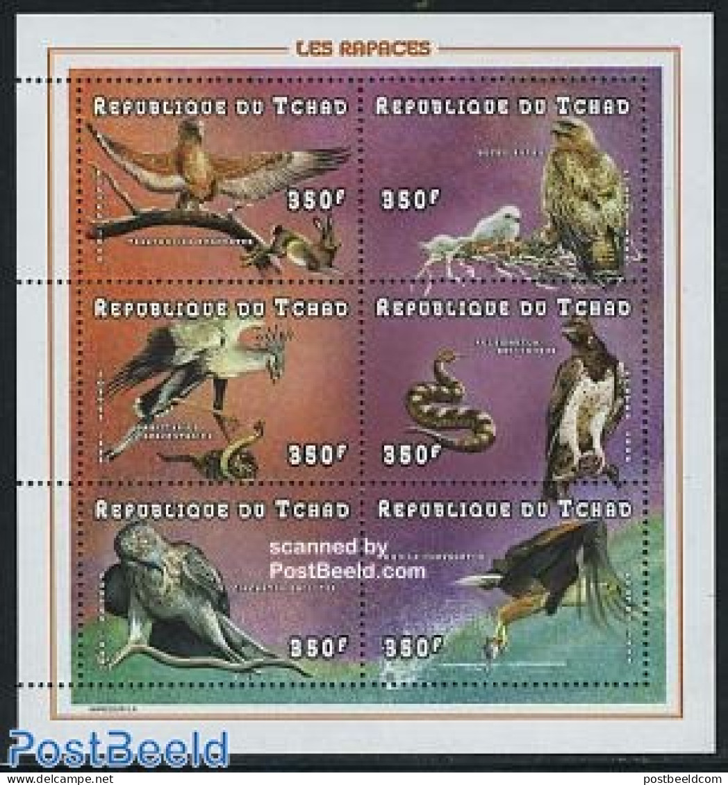 Chad 1998 Birds 6v M/s, Mint NH, Nature - Birds - Birds Of Prey - Andere & Zonder Classificatie