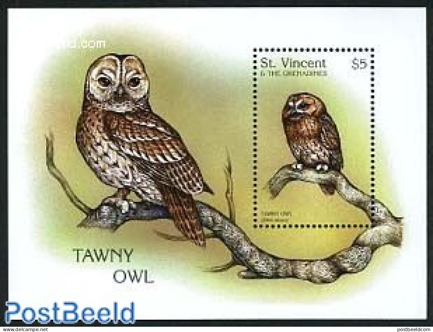 Saint Vincent 1997 Strix Aluco S/s, Mint NH, Nature - Birds - Owls - St.Vincent (1979-...)