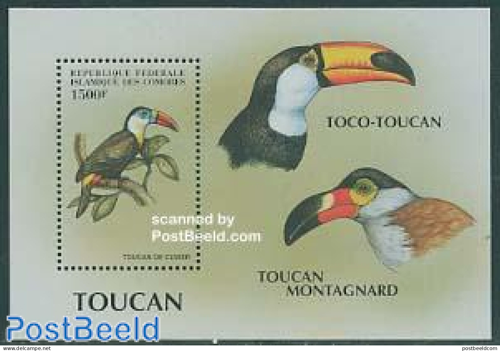 Comoros 1999 Toucan De Cuvier S/s, Mint NH, Nature - Birds - Toucans - Komoren (1975-...)