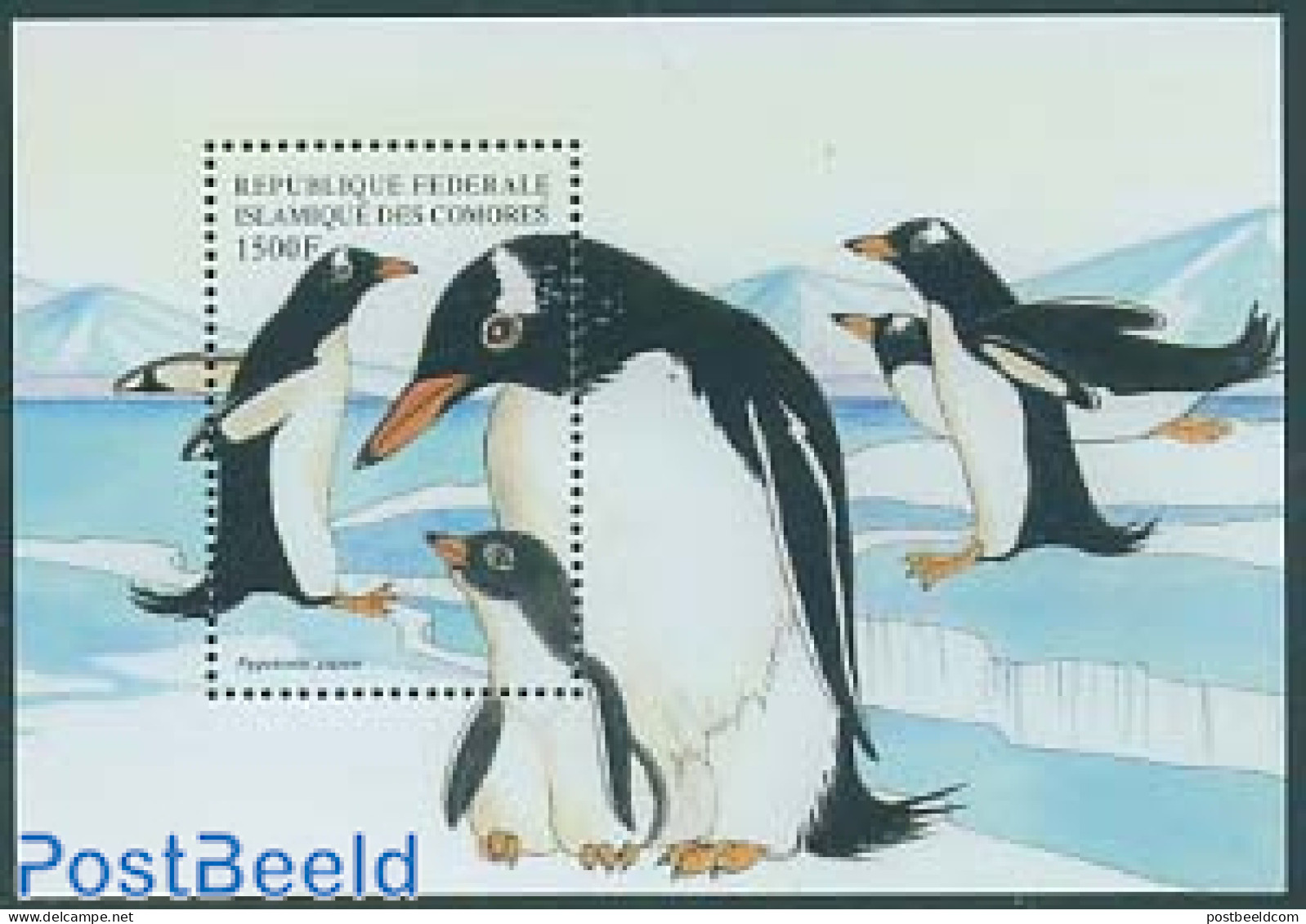 Comoros 1999 Penguin S/s, Mint NH, Nature - Birds - Penguins - Komoren (1975-...)