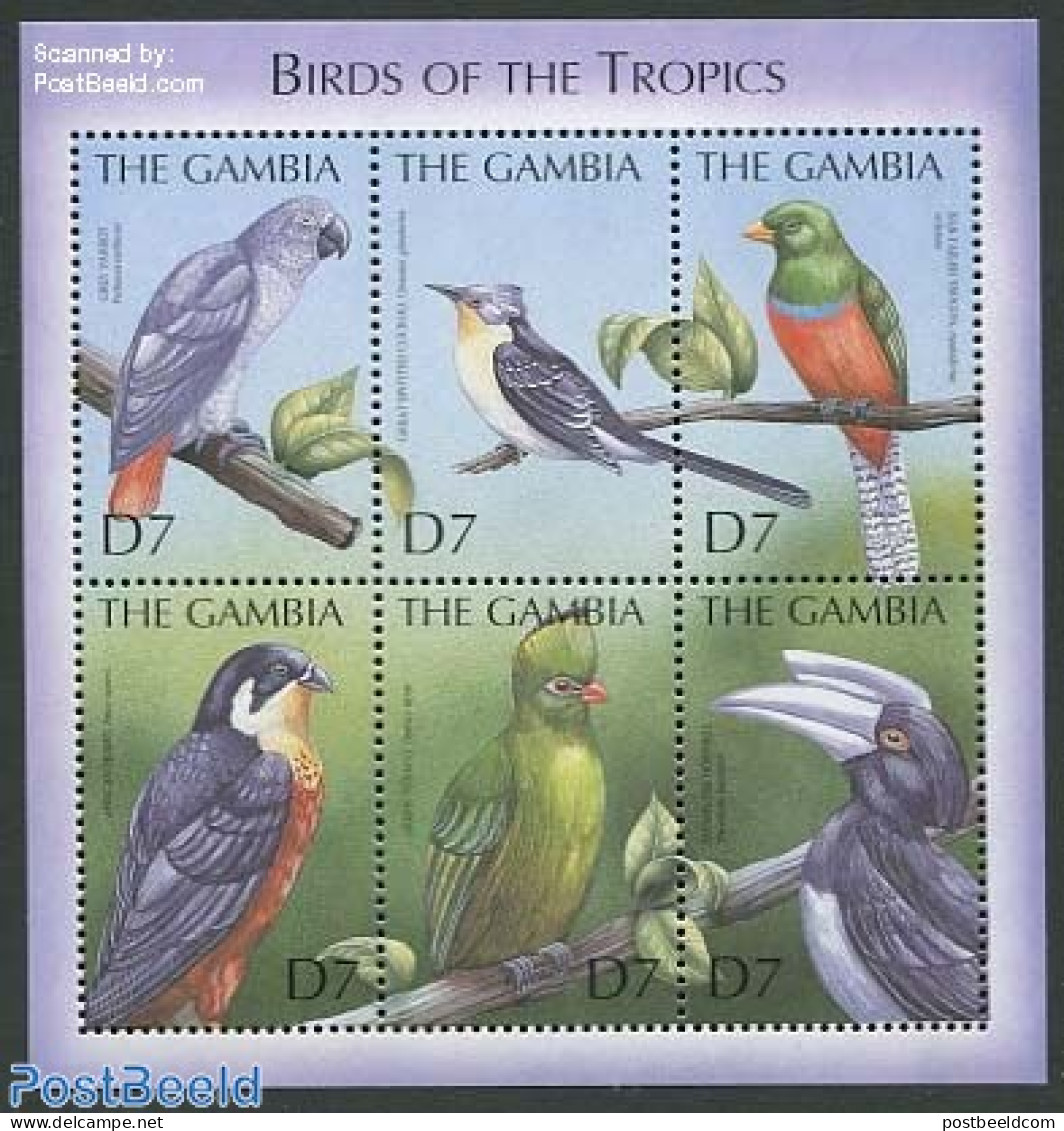 Gambia 2000 Tropical Birds 6v M/s, Mint NH, Nature - Birds - Gambia (...-1964)