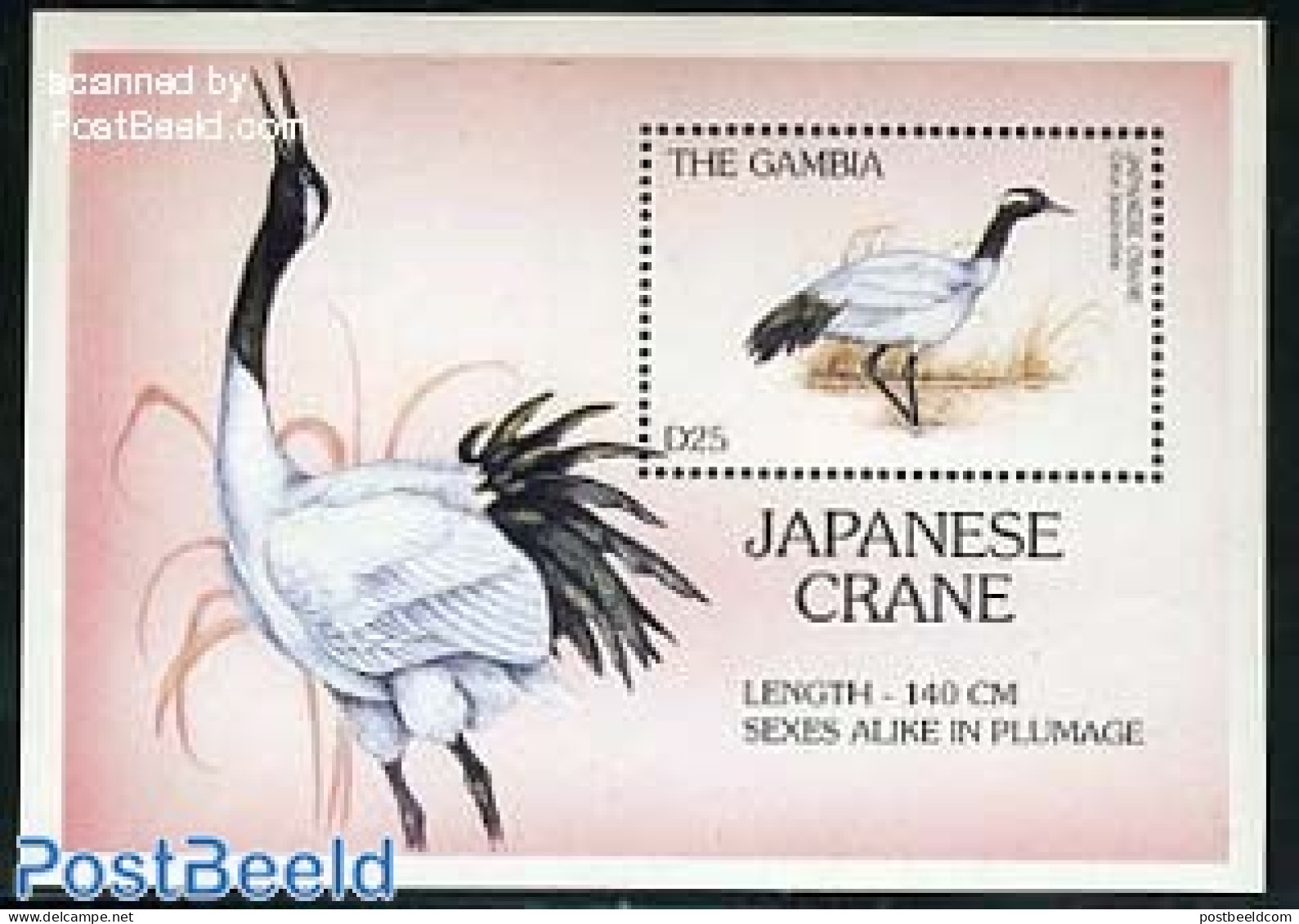 Gambia 1997 Rare Animals S/s, Grus Japonensis, Mint NH, Nature - Birds - Storks - Gambie (...-1964)