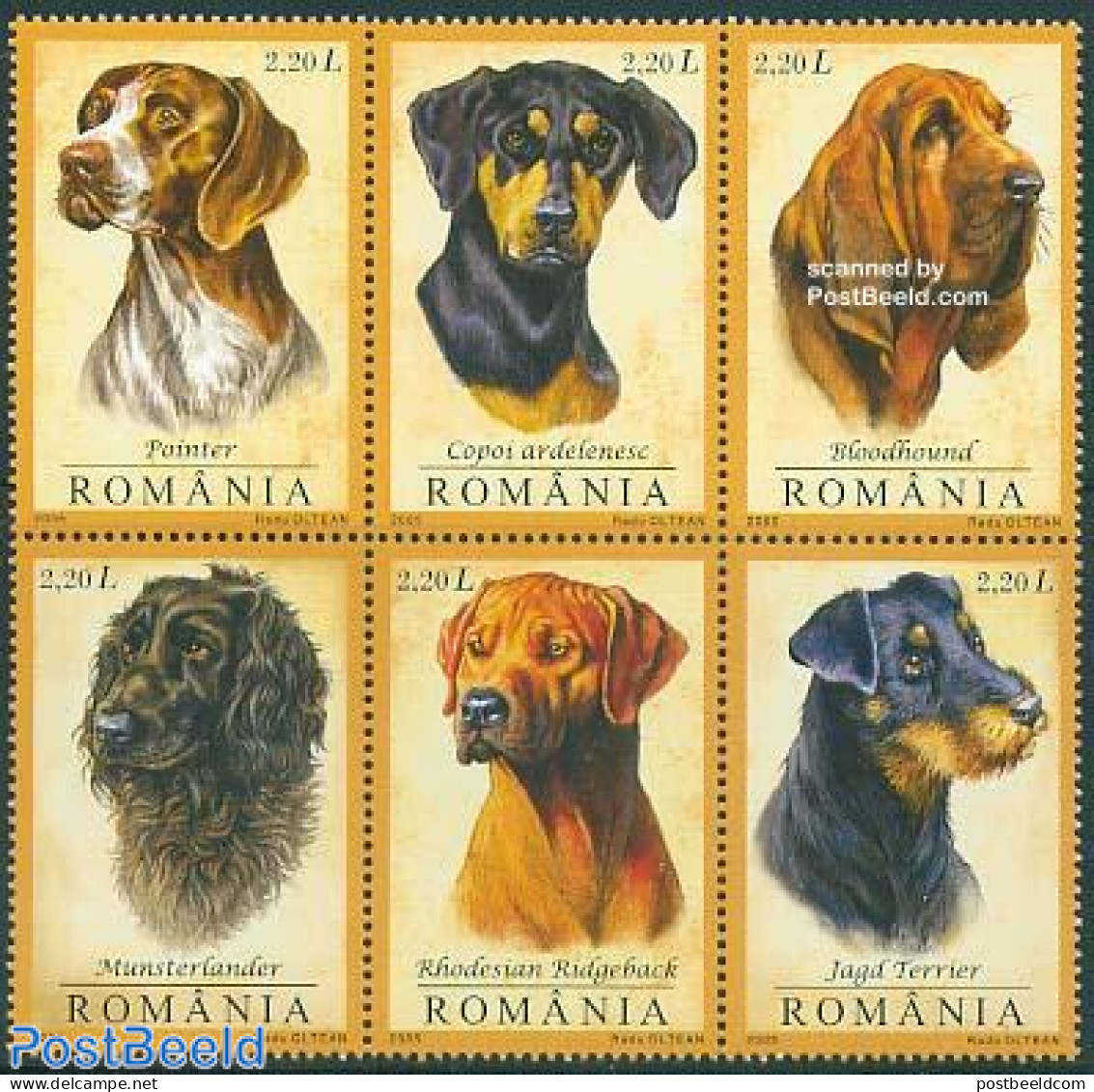 Romania 2005 Hunting Dogs 6v [++], Mint NH, Nature - Dogs - Hunting - Ungebraucht