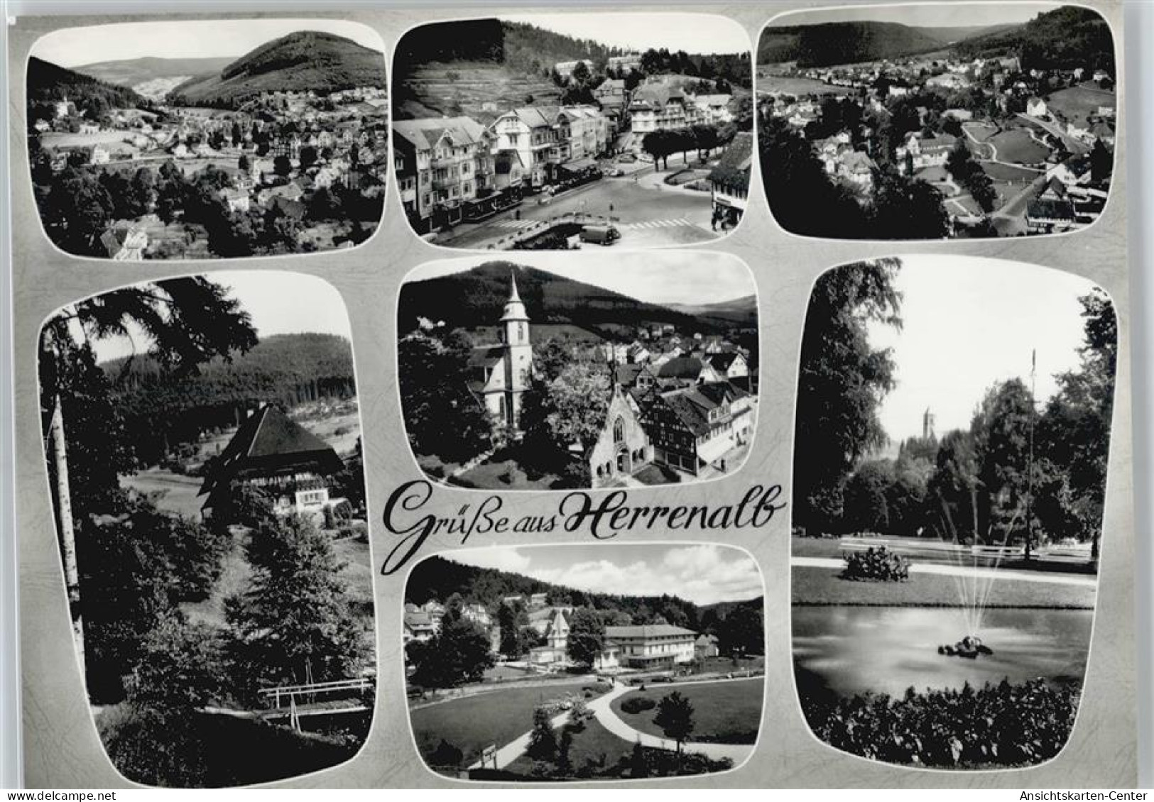 50436407 - Bad Herrenalb - Bad Herrenalb