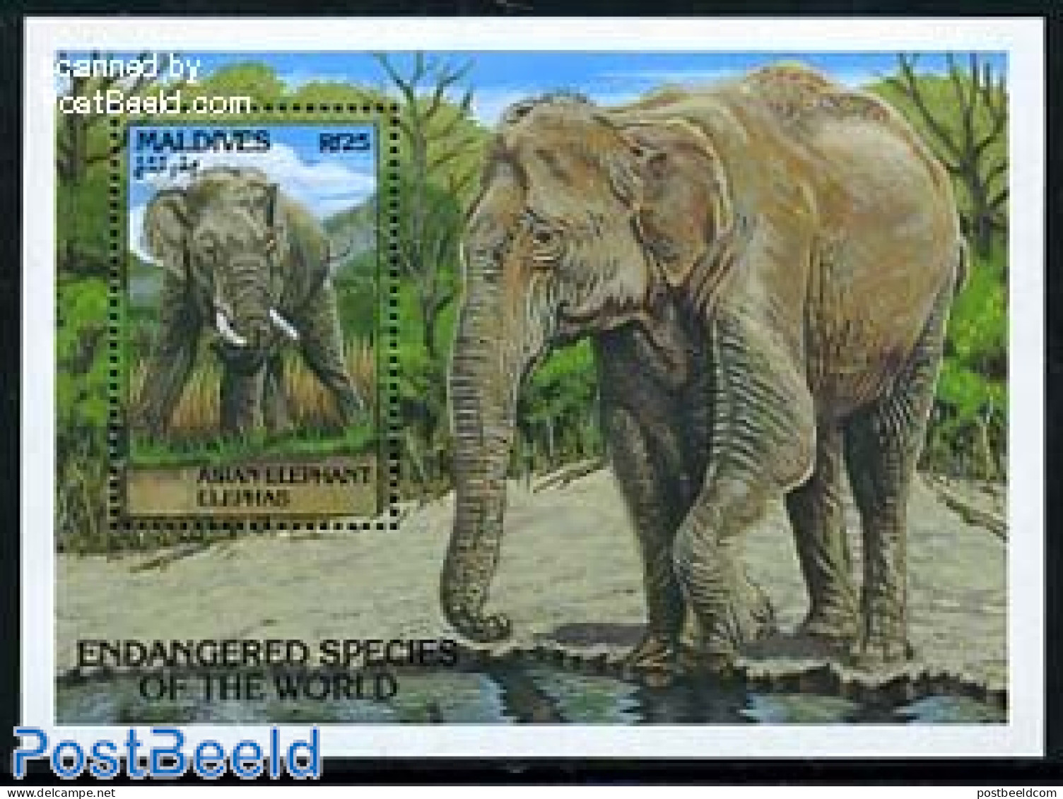 Maldives 1993 Endangered Animals S/s, Mint NH, Nature - Animals (others & Mixed) - Elephants - Maldive (1965-...)
