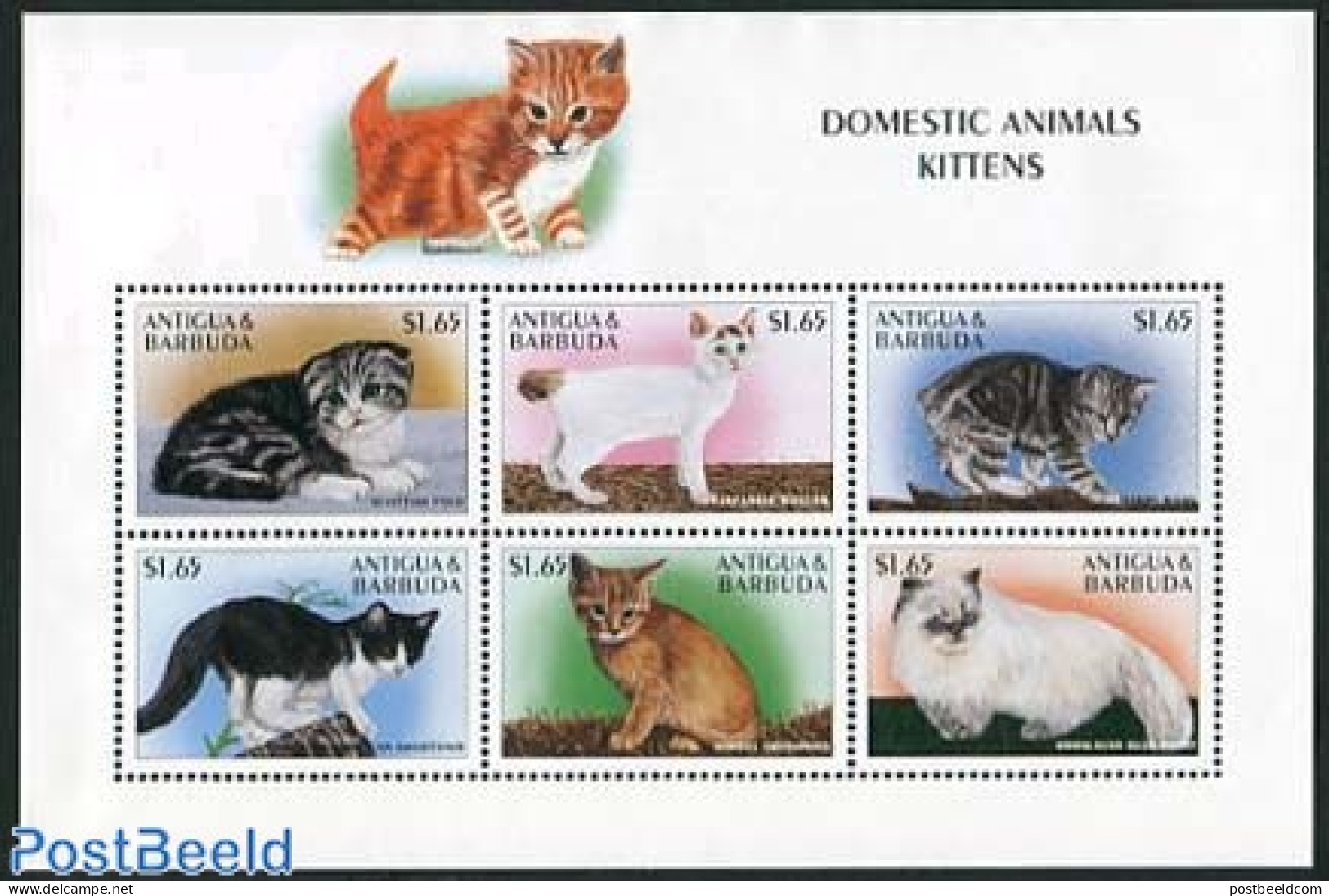 Antigua & Barbuda 1997 Cats 6v M/s, Mint NH, Nature - Cats - Antigua And Barbuda (1981-...)
