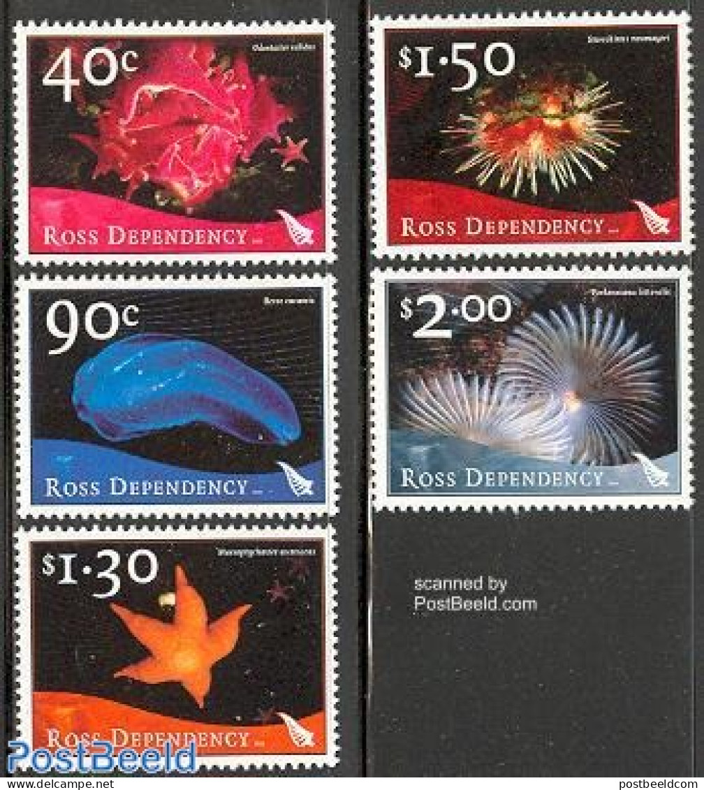 Ross Dependency 2003 Marine Life 5v, Mint NH, Nature - Shells & Crustaceans - Maritiem Leven