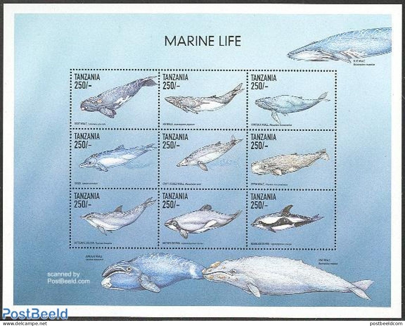 Tanzania 1999 Sea Mammals 9v M/s, Mint NH, Nature - Tanzanie (1964-...)