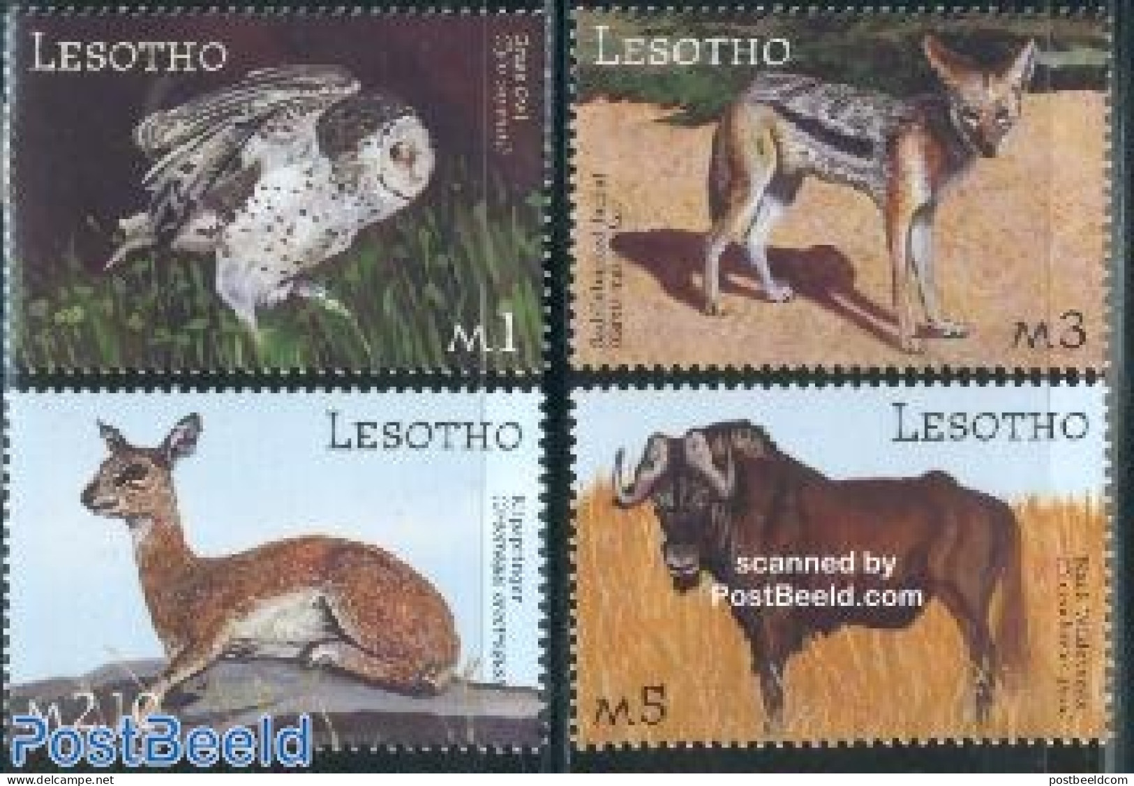 Lesotho 2001 Animals 4v, Mint NH, Nature - Animals (others & Mixed) - Owls - Lesotho (1966-...)