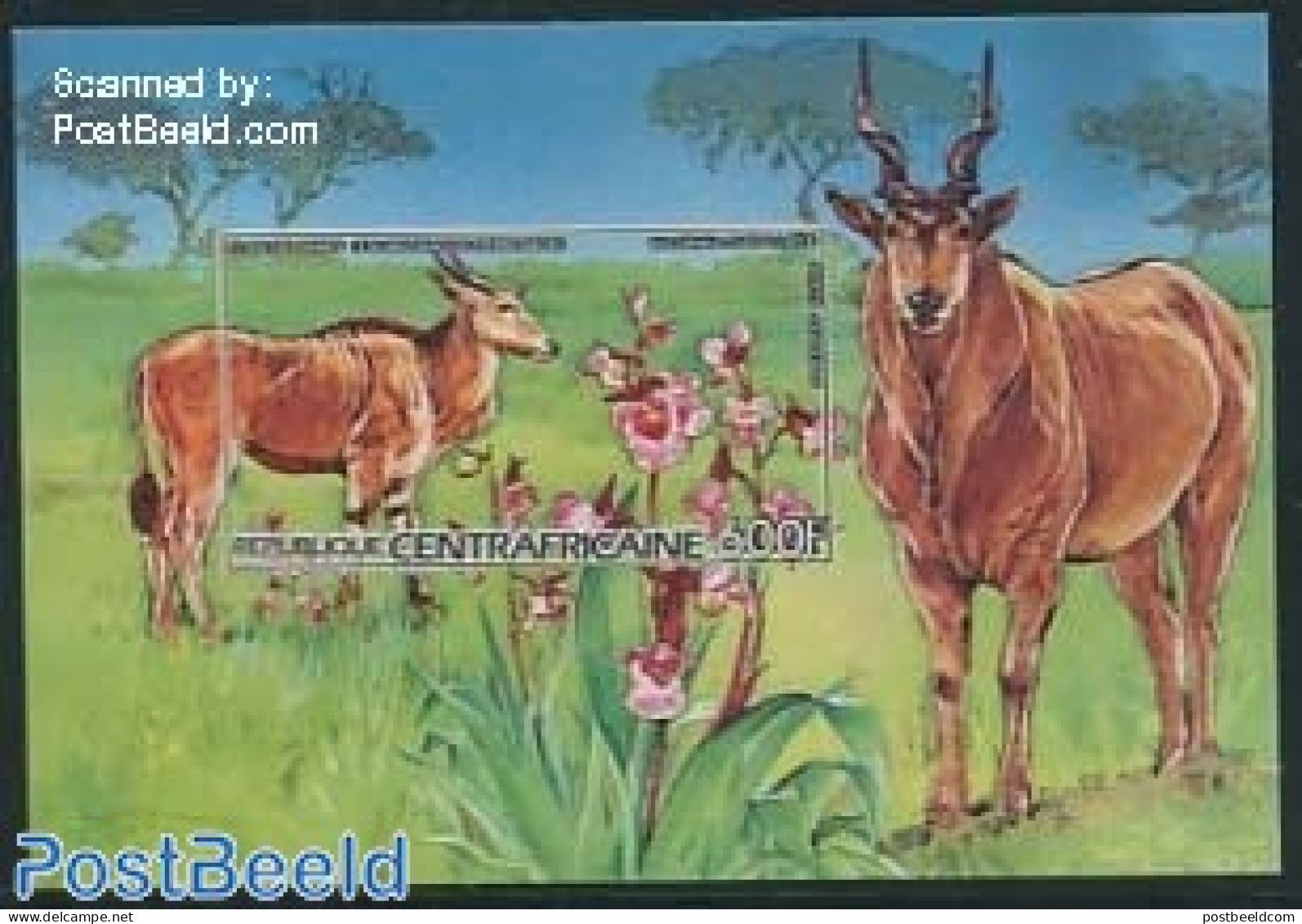 Central Africa 1986 Animals & Flowers S/s, Imperforated, Mint NH, Nature - Animals (others & Mixed) - Flowers & Plants - Central African Republic