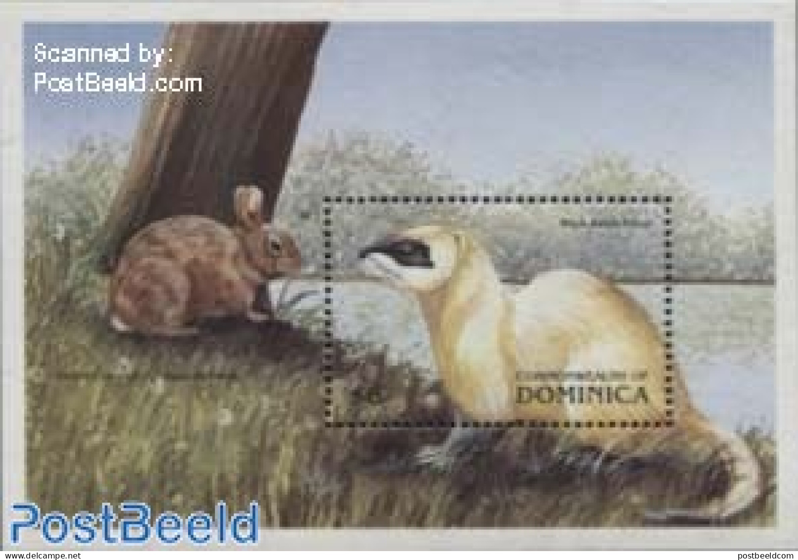 Dominica 1999 Black-footed Ferret S/s, Mint NH, Nature - Animals (others & Mixed) - Rabbits / Hares - República Dominicana