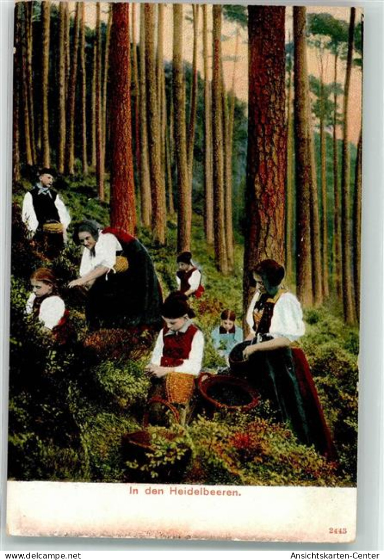 10673907 - Heidelbeeren Pfluecken Tracht - Andere & Zonder Classificatie