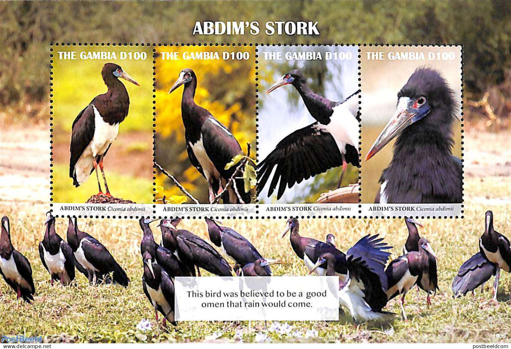 Gambia 2019 Abdim's Stork 4v M/s, Mint NH, Nature - Birds - Gambia (...-1964)