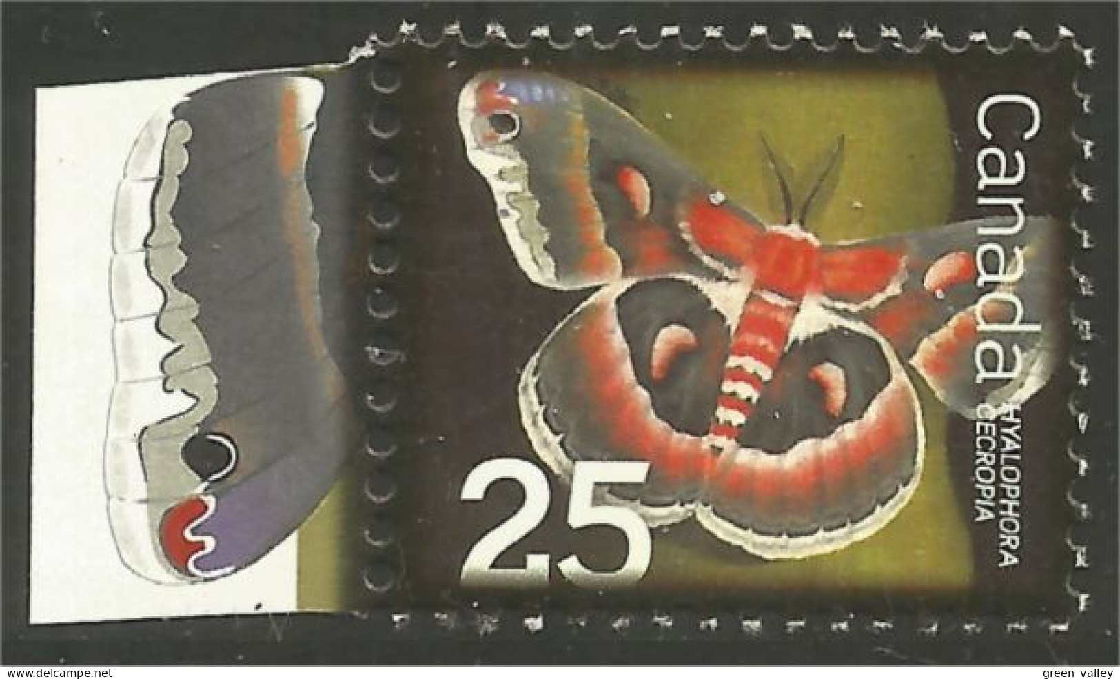 Canada Insecte Insect Insekt Papillon Moth Butterfly Falena Motte MNH ** Neuf SC (C22-38bf) - Neufs