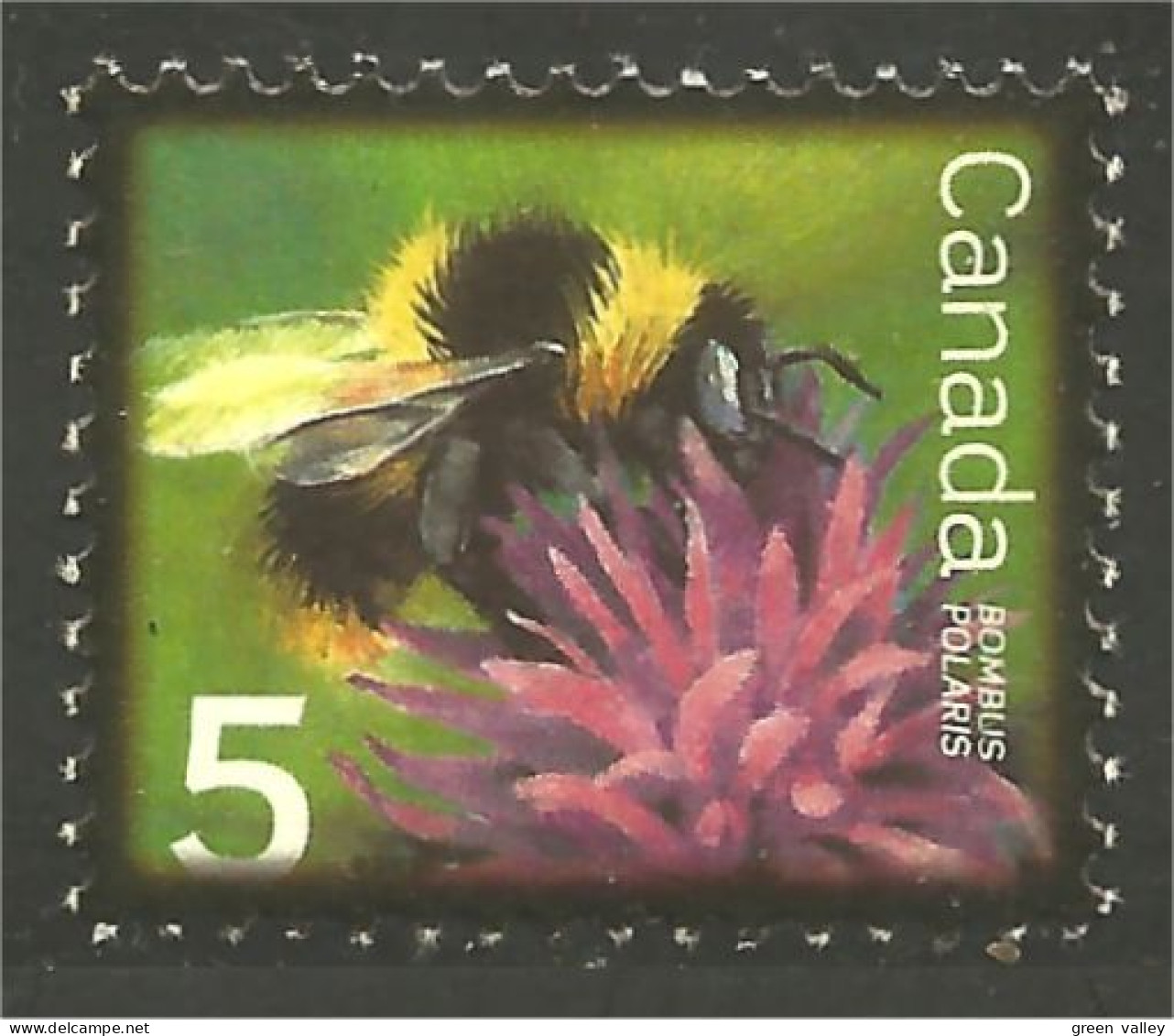 Canada Insecte Insect Insekt Abeille Bee Biene Ape MNH ** Neuf SC (C22-36d) - Other & Unclassified