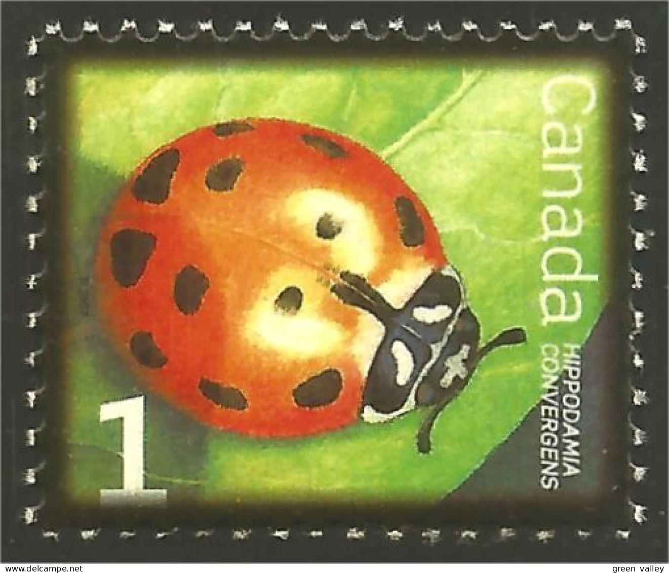 Canada Insecte Insect Insekt Lady Beetle Coccinelle Marienkäfer MNH ** Neuf SC (C22-34c) - Sonstige & Ohne Zuordnung