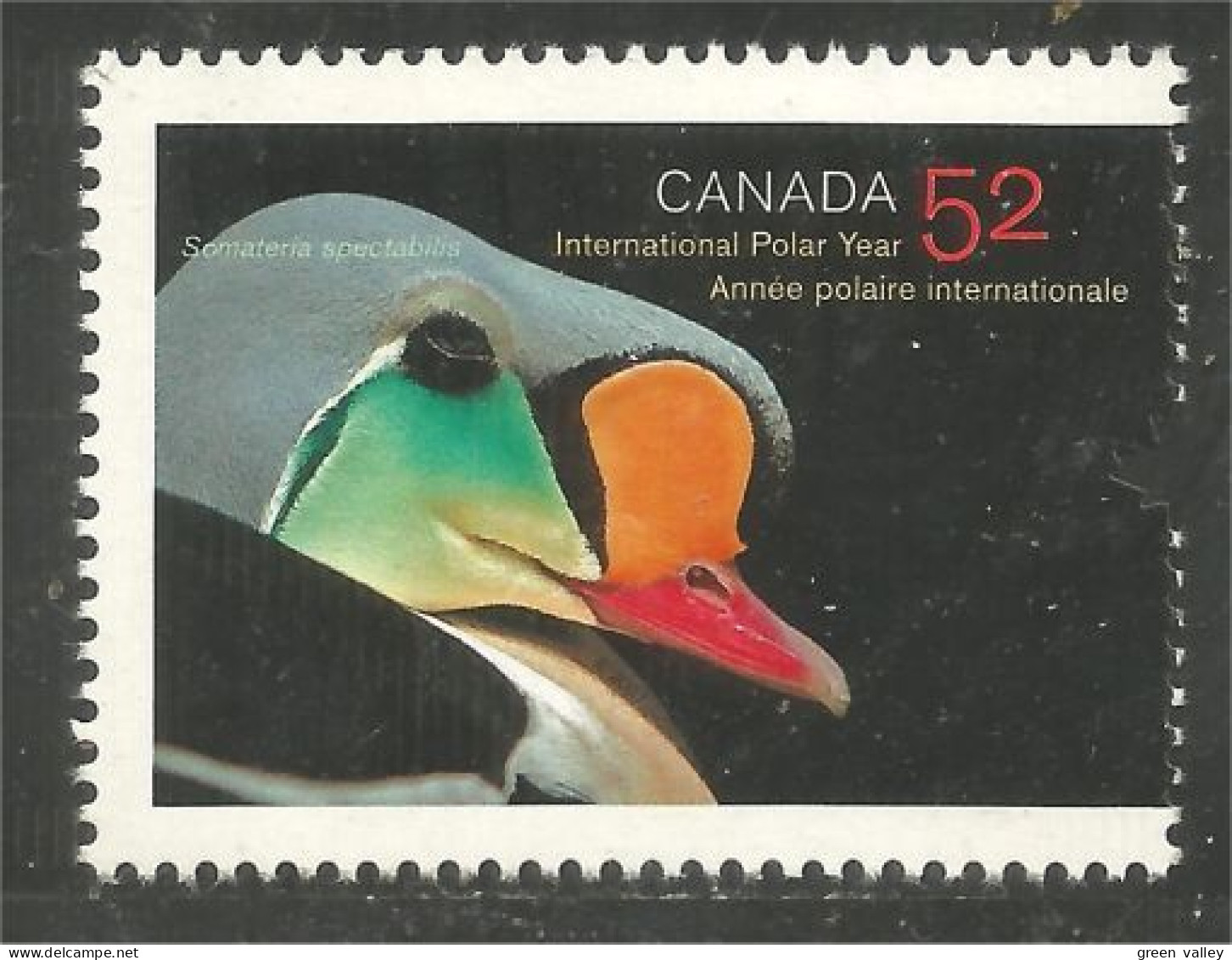 Canada Male King Eider Canard Duck Ente Anatra Pato Eend MNH ** Neuf SC (C22-04c) - Patos