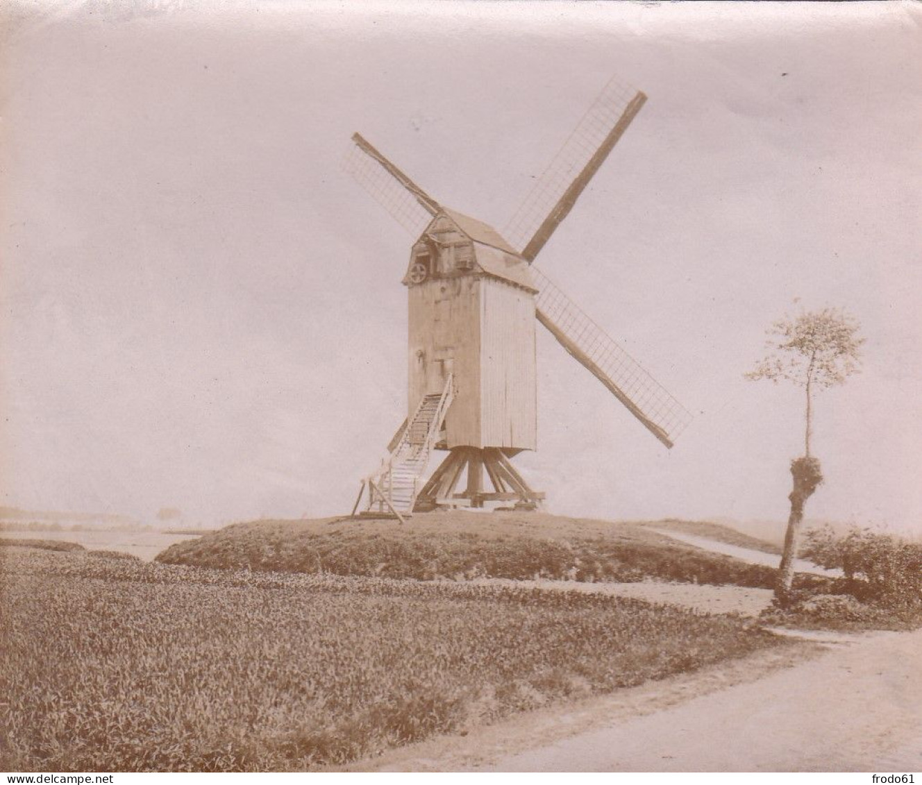 MOLEN, MOULIN, MILL, MÜHLE BOSSUYT BOSSUIT 1912, Kleine Foto Van 8.50 X 7cm - Avelgem
