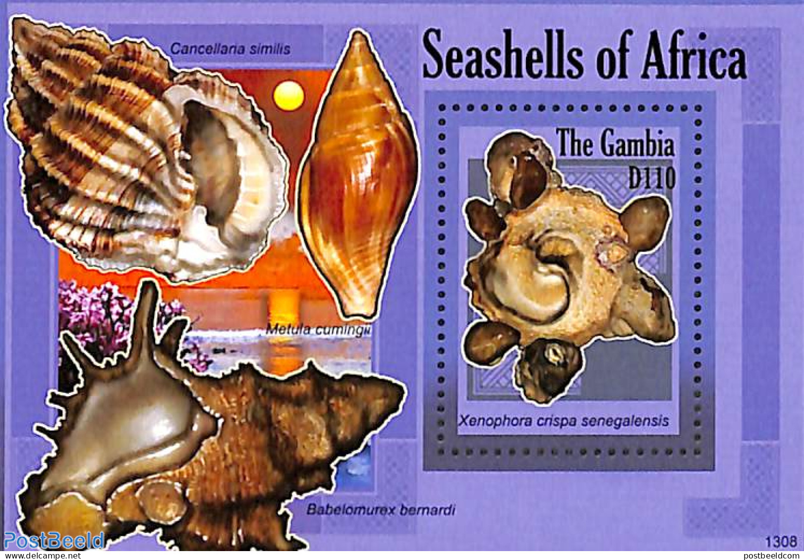 Gambia 2013 Seashells S/s, Mint NH, Nature - Shells & Crustaceans - Maritiem Leven