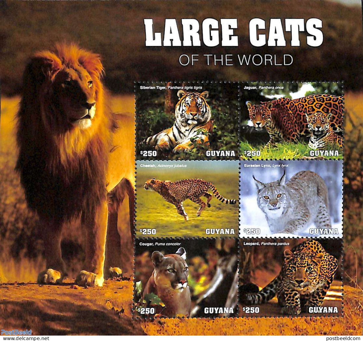 Guyana 2020 Large Cats Of The World 6v M/s, Mint NH, Nature - Cat Family - Guyane (1966-...)