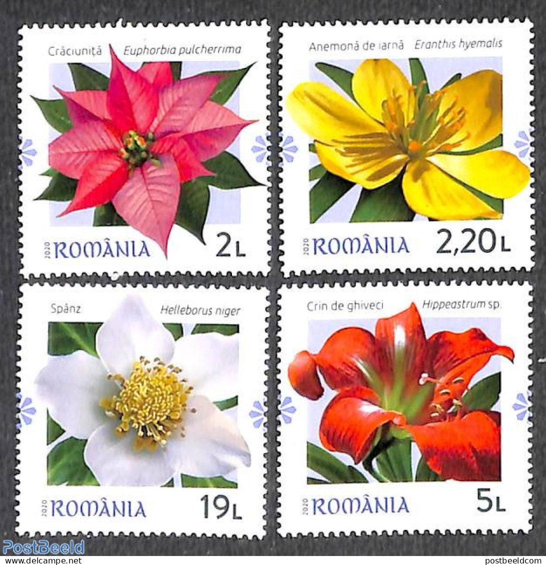 Romania 2020 Winter Flowers 4v, Mint NH, Nature - Flowers & Plants - Nuevos