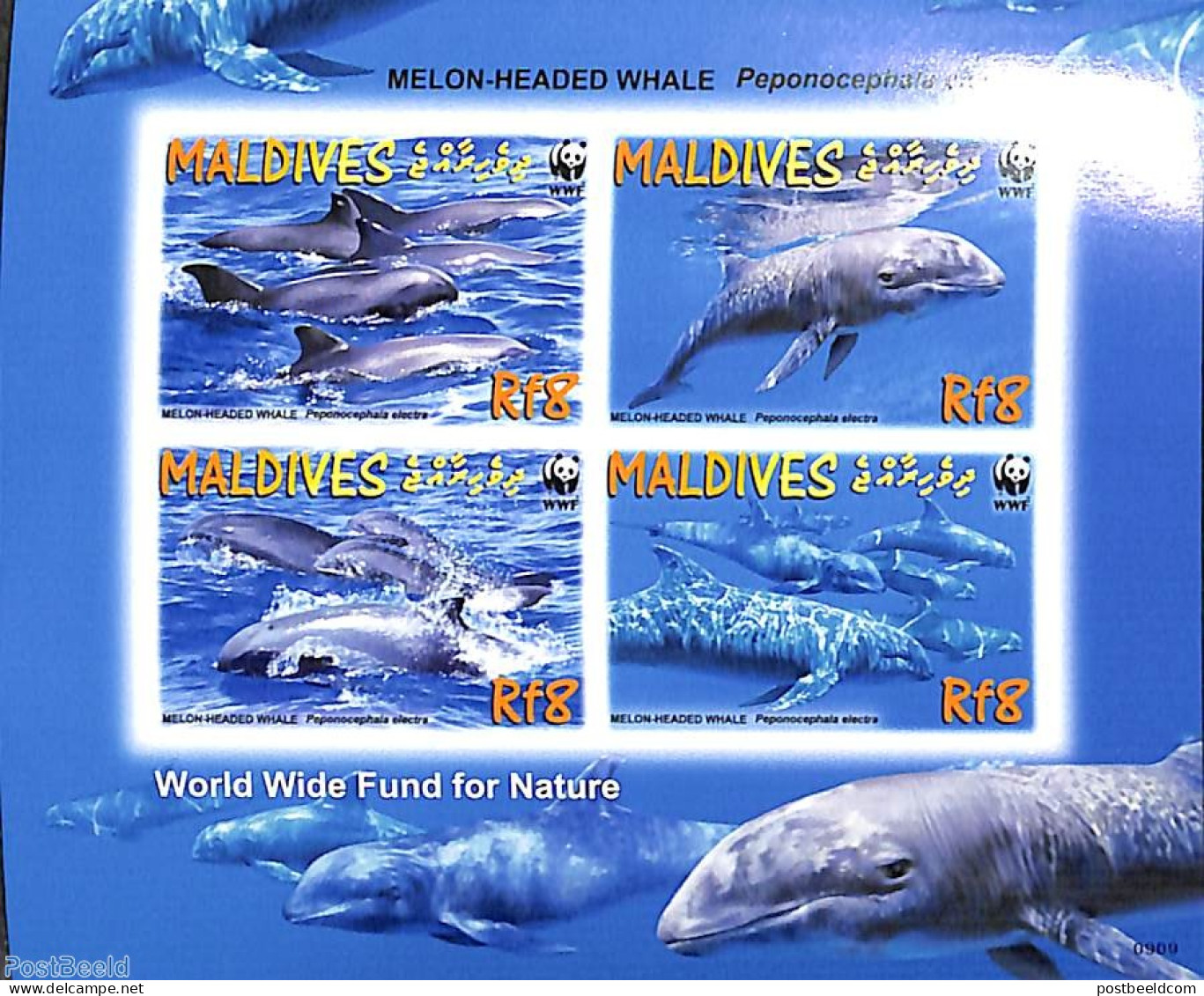 Maldives 2009 WWF 4v, Imperforated, Mint NH, Nature - Sea Mammals - Maldive (1965-...)
