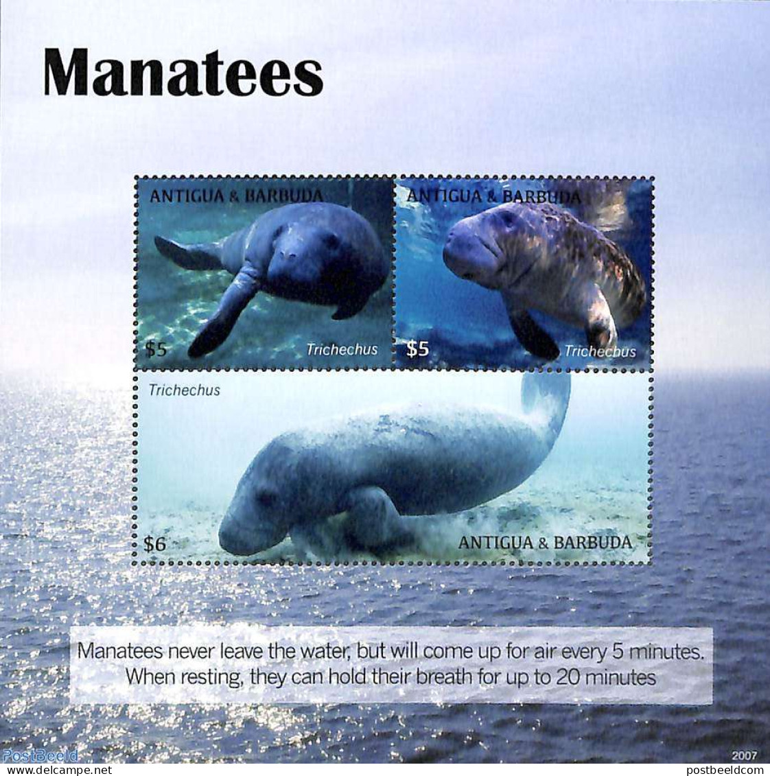 Antigua & Barbuda 2020 Manatees 3v M/s, Mint NH, Nature - Sea Mammals - Antigua And Barbuda (1981-...)
