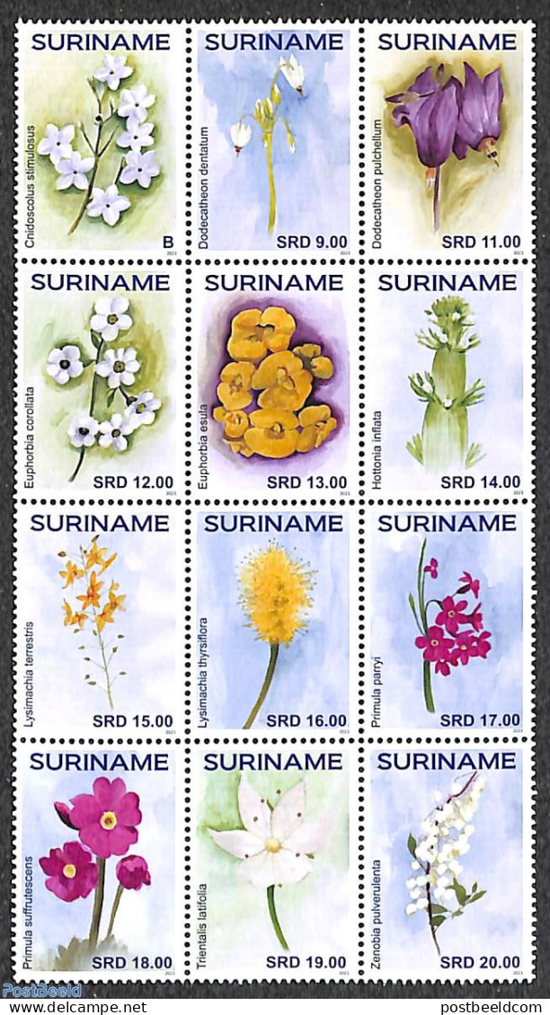 Suriname, Republic 2021 Flowers 12v, Sheetlet, Mint NH, Nature - Flowers & Plants - Suriname