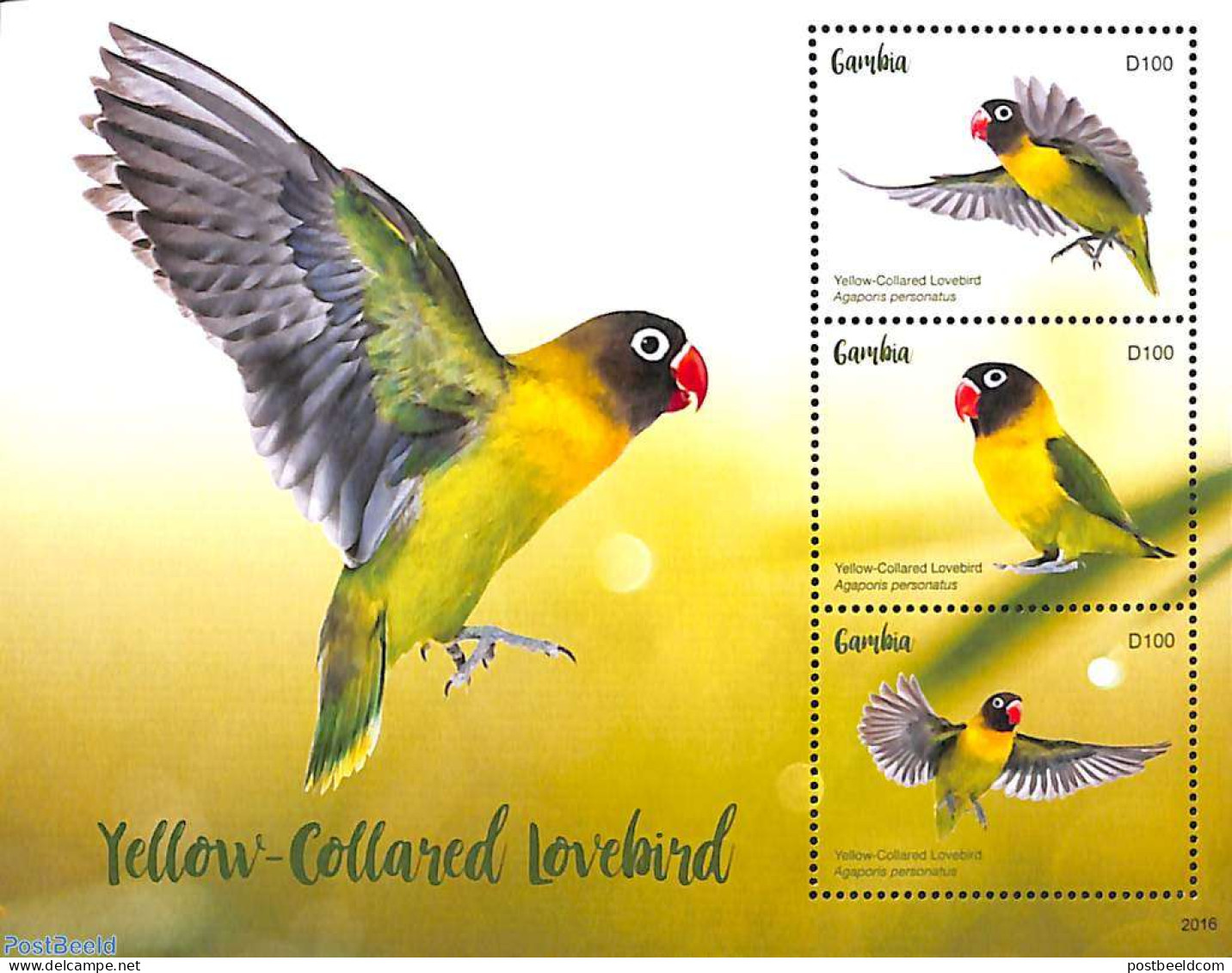 Gambia 2020 Yellow-Collared Lovebird 3v M/s, Mint NH, Nature - Birds - Parrots - Gambia (...-1964)